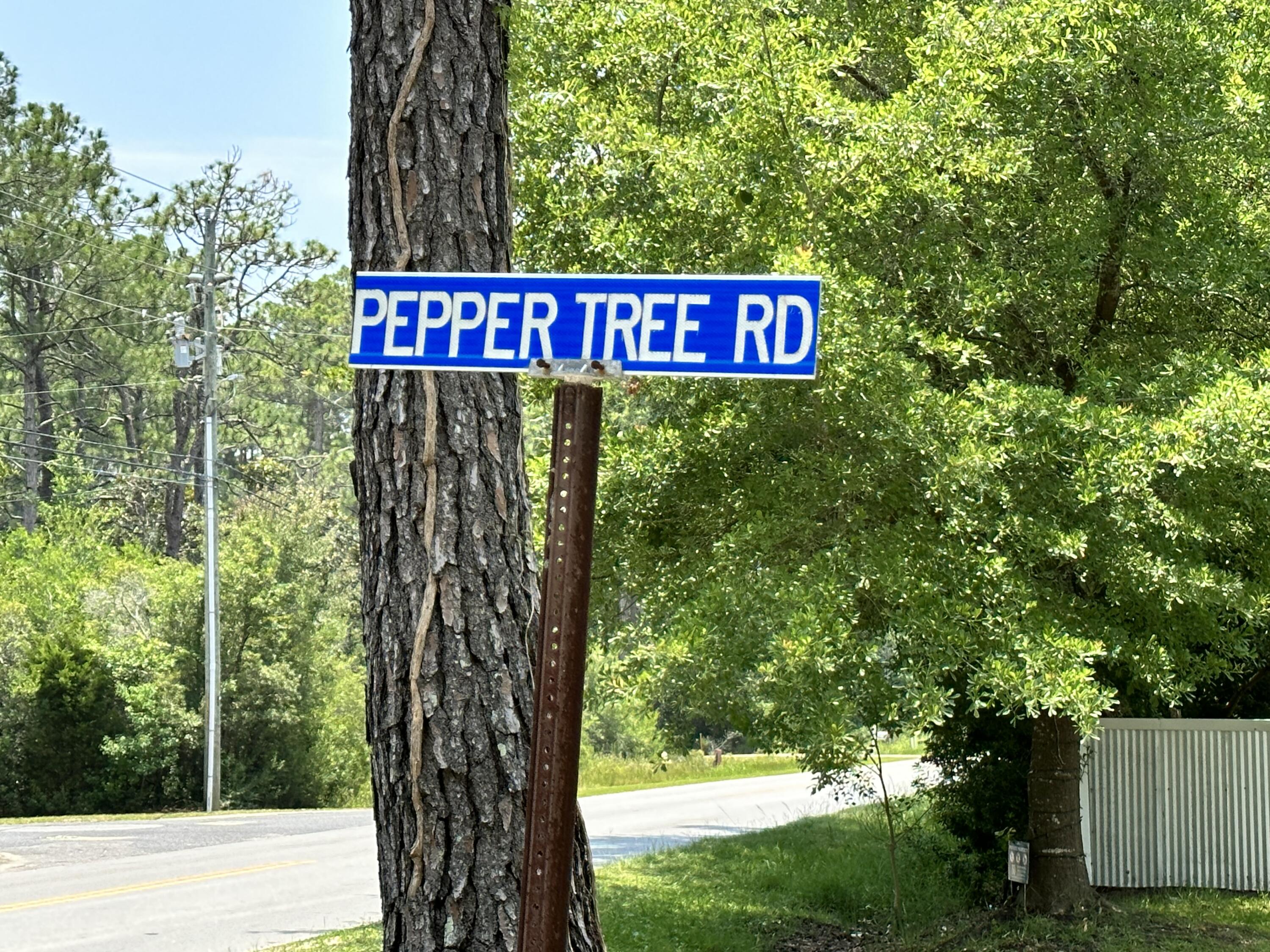 LOT 13 PEPPERTREE FARMS UNRECD S/D - Land