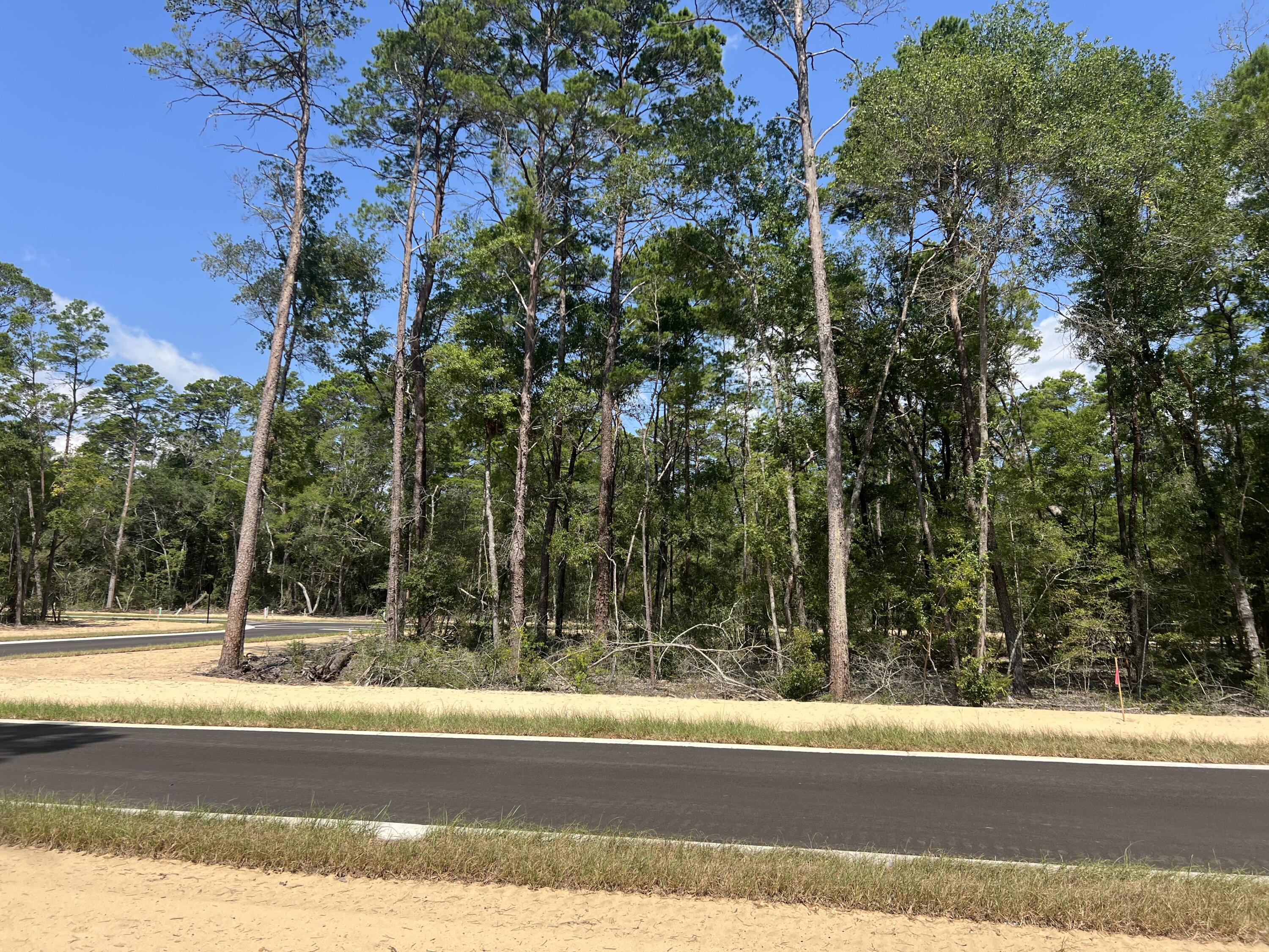Deer Moss Creek - Land