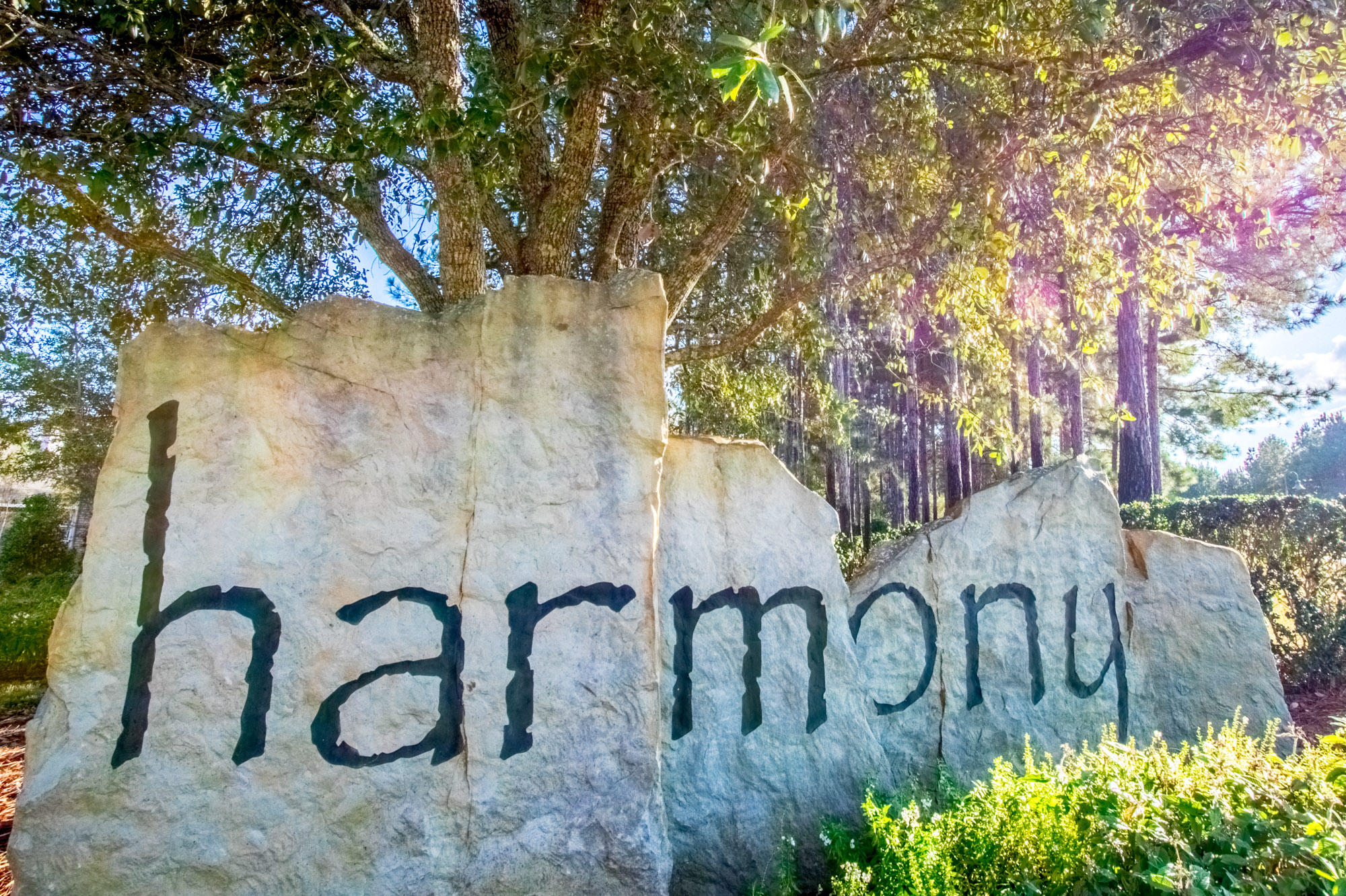 HAMMOCK BAY - Land