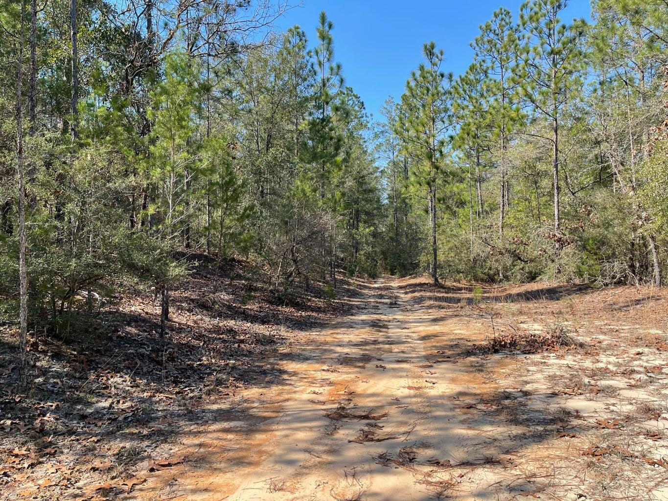 LOT 1 BLK 10 OAKWOOD HILLS UNIT 5 PB 4-21 OR 416-604 OR 2666-4128 OR 2972 4346 - Land