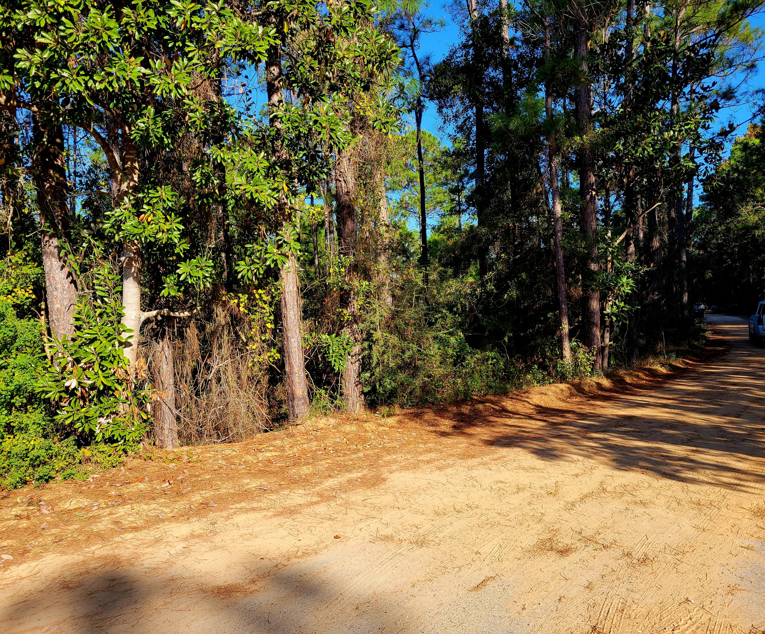 TOWN OF SANTA ROSA BEACH - Land