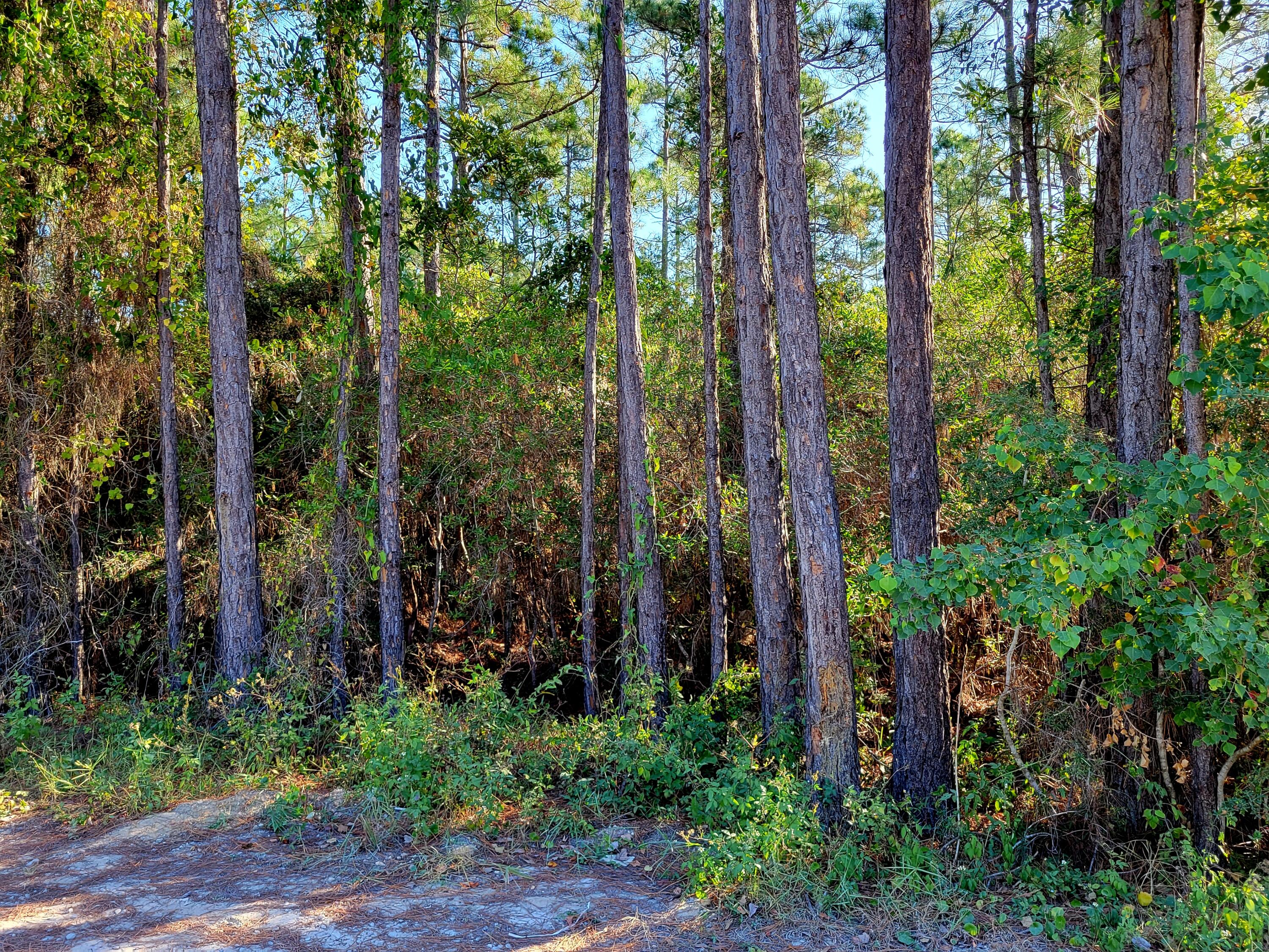 TOWN OF SANTA ROSA BEACH - Land