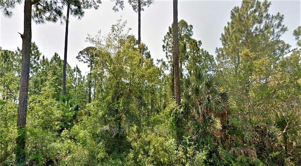 A beautiful vista awaits you with your choice of several lots new to the market overlooking the historical and pristine waters of Indian Lagoon. These lots are a paddleboarder's and kayaker's dream as one can enjoy bird watching, oystering, or shallow in shore fishing. Close proximity to Indian Pass Boat Ramp, Public Beach Access and the famous Indian Pass Raw Bar. Just a short drive to Cape San Blas, Salinas Park, and conveniently located between Port St Joe and Apalachicola. Lots are heavily wooded and have reasonable restrictions. Single family residential use only.