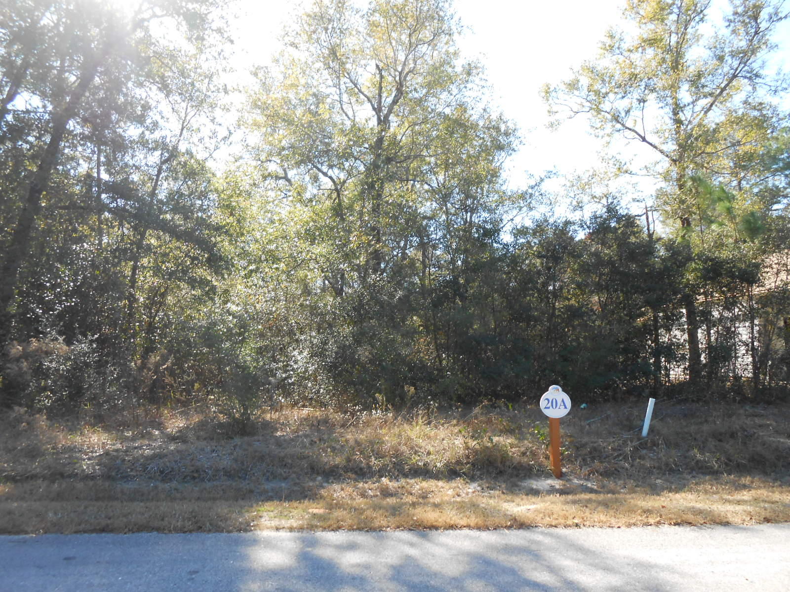 STAND-OUT DEAL in developing BEAR CREEK! Build that Contemporary Coastal Cottage you've envisioned on this primo lot with no neighbor(s) to rear - backs to platted buffer/conservation area. Sewer, underground utilities & good drainage! NO BUILD-OUT TIME; ARC reviews plans for integrity & quality of this development. Survey and preliminary house plans are available. BEAR CREEK is perfectly situated, south of Hwy 20 and convenient to 331 Bridge! Area waterways, county parks & 'Scenic 30A' beaches are all close to this area...including Grayton Beach, Seaside, Seagrove, etc. - just 15-20 minutes away. Plus, reasonable commutes to Sandestin, Destin, Fort Walton Bch., Eglin AFB (via Hwy 20 & Niceville), Rosemary Beach, ''Pier Park'' (at Panama City Beach), I-10 and major commercial airports
