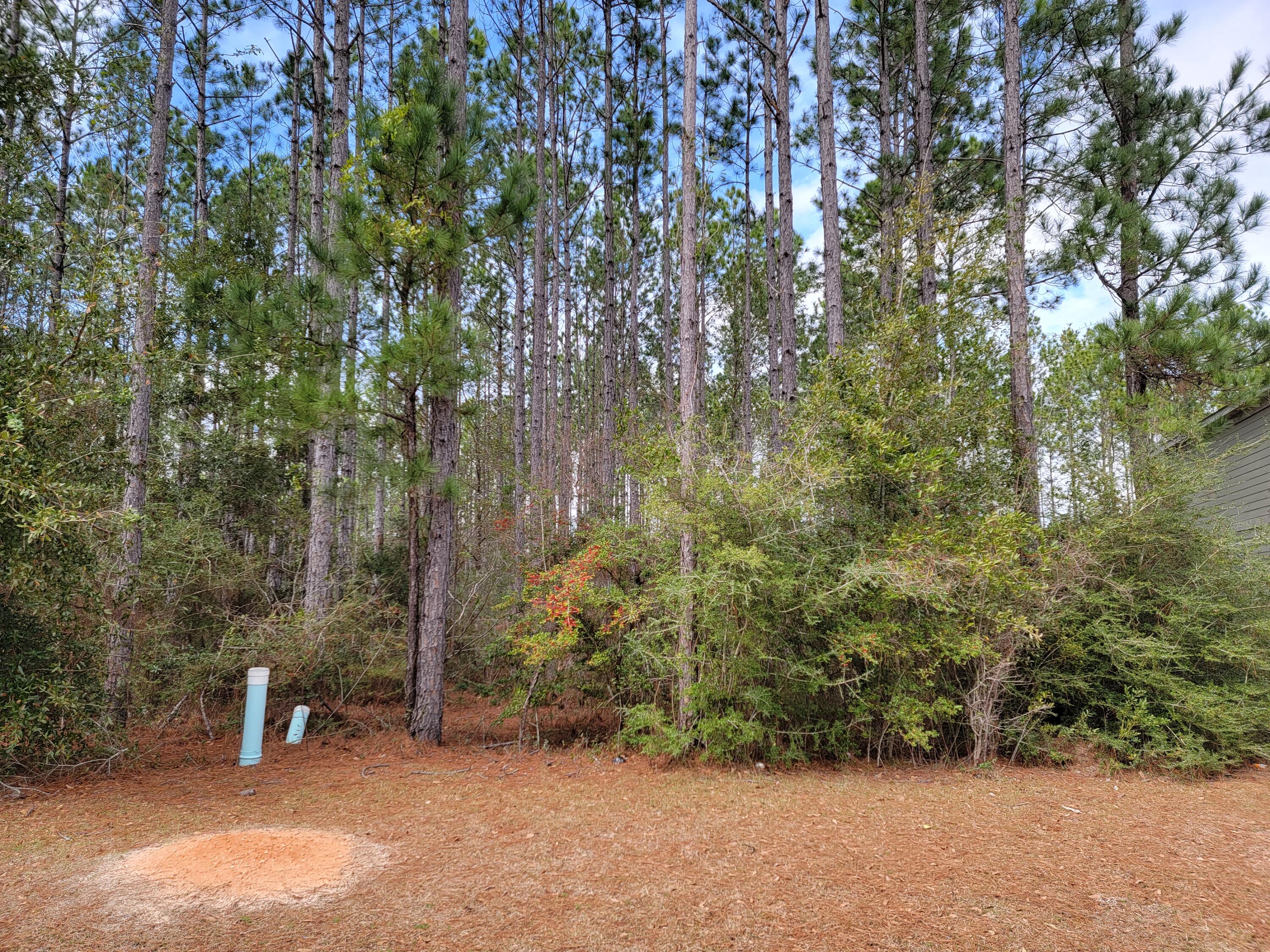 HAMMOCK BAY - Land