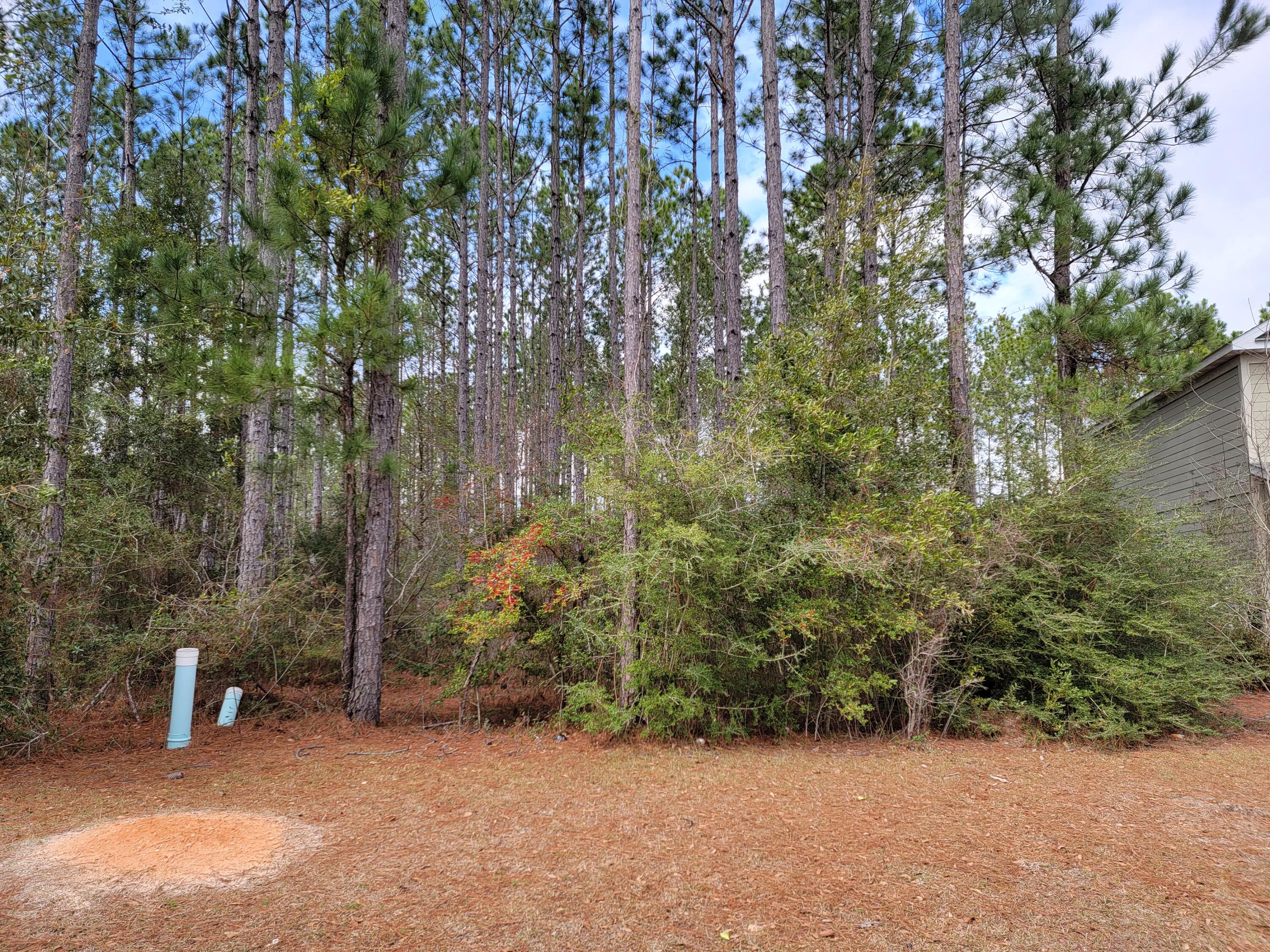 HAMMOCK BAY - Land