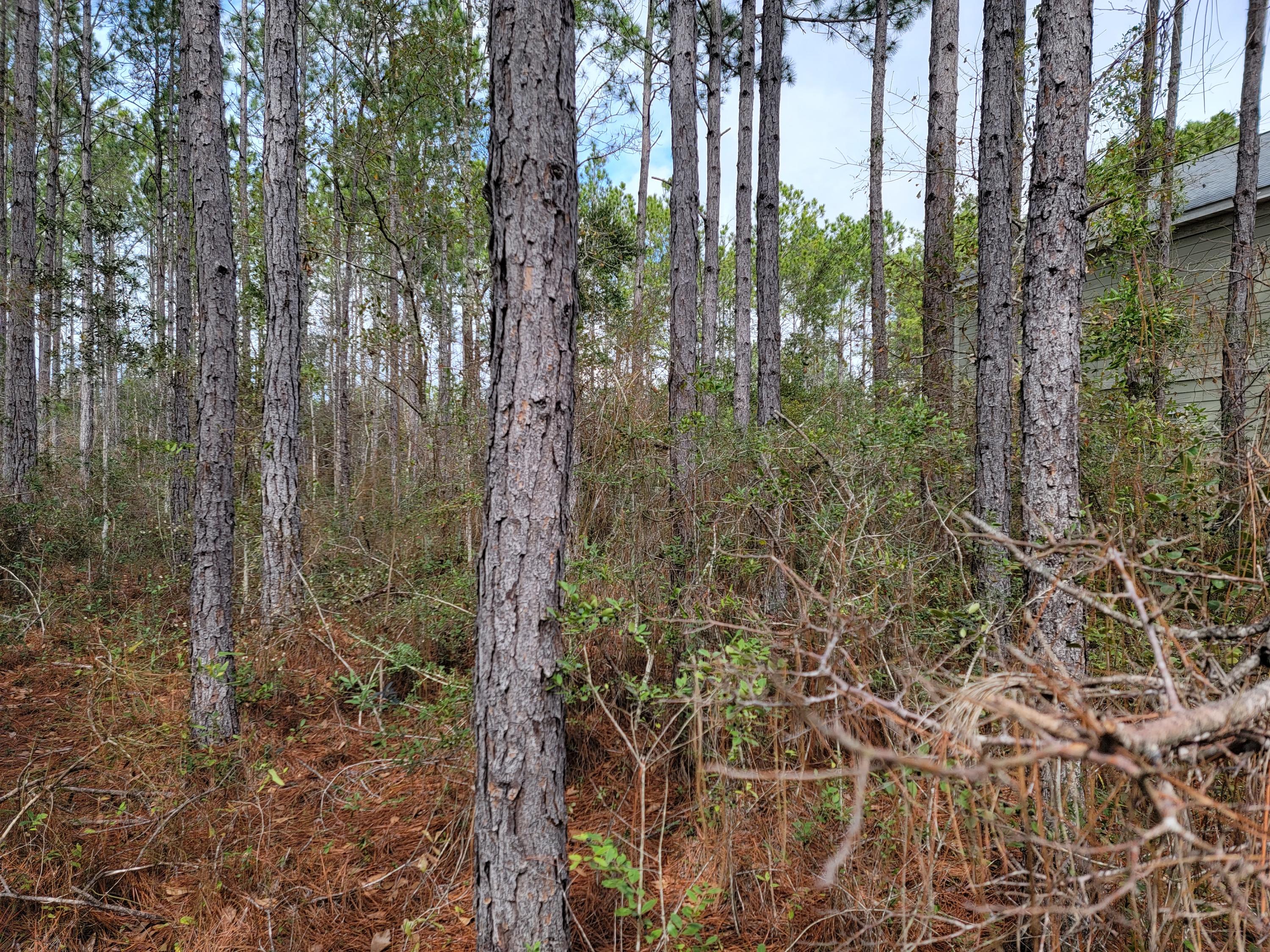 HAMMOCK BAY - Land