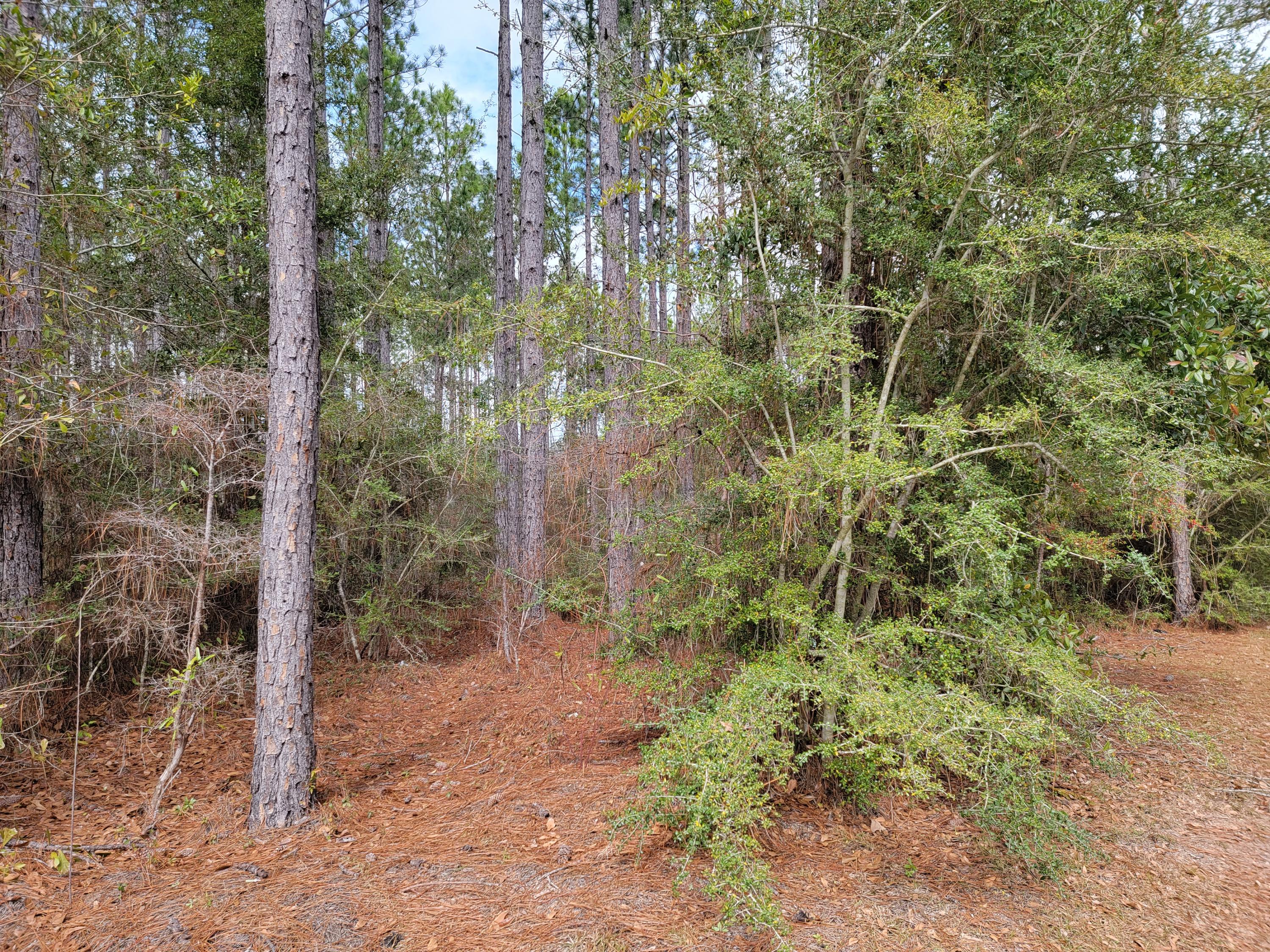 HAMMOCK BAY - Land