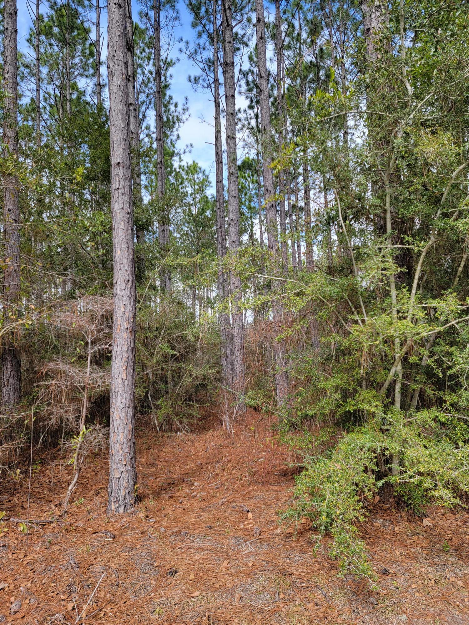 HAMMOCK BAY - Land