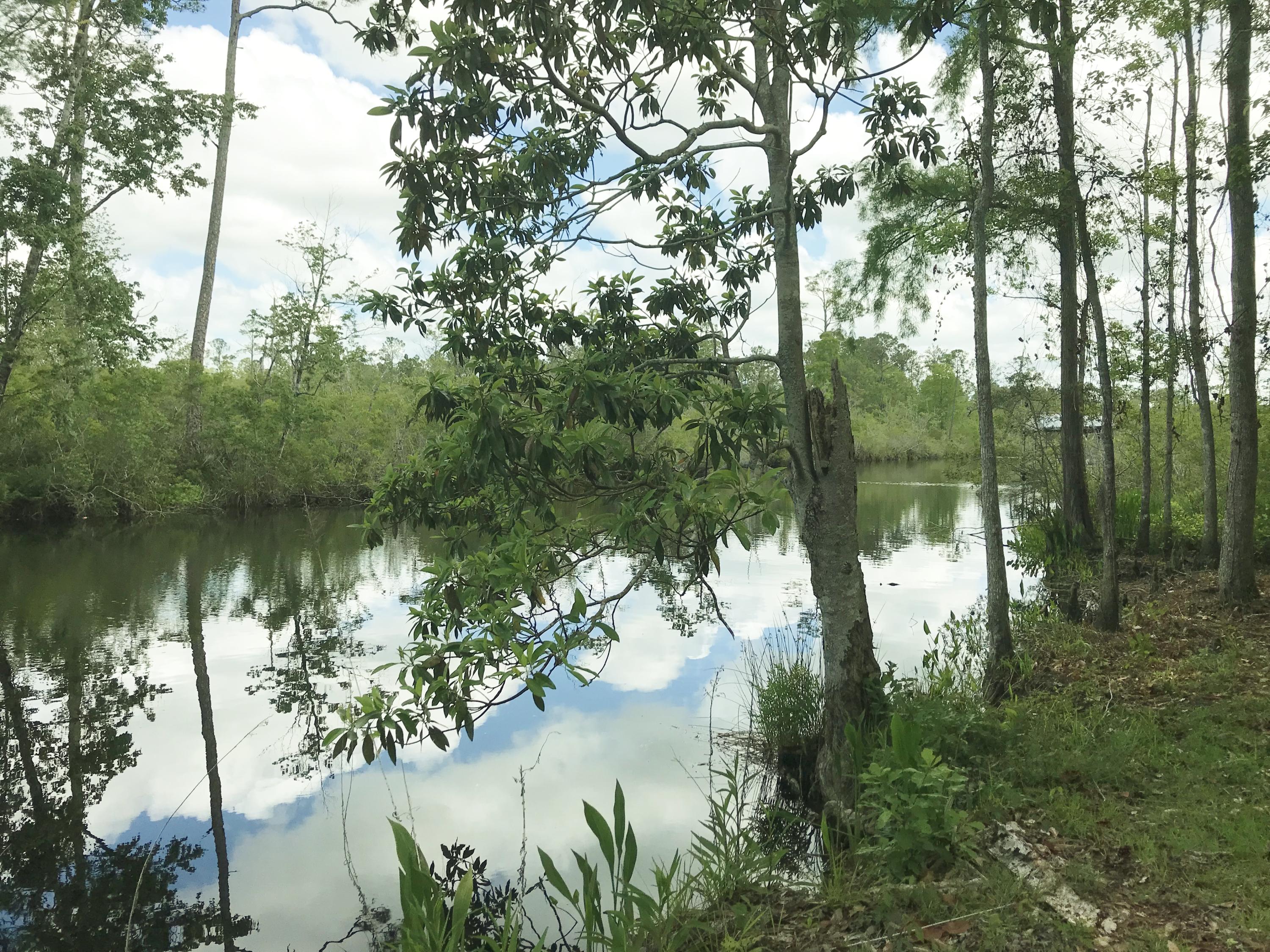 140 Waterfront Feet on deep-water Goodwin Creek on .99 acre. Secluded, beautiful tree-shaded property with ample cleared areas for a future weekend getaway or permanent home, garden and dock. Creek is approximately 50' wide in this area. Great fishing and water sports just a few minutes by boat down Goodwin Creek to the Choctawhatchee Bay, Intercoastal Waterway or on to Destin to Crab Island and the Gulf of Mexico. Conveniently located in booming Freeport where Publix and other national chains recently opened. Freeport lifestyle offers great schools, sports complex and community feel.
Only a 15 minute drive to the sugar sand Beaches of South Walton and turquoise waters of the Gulf of Mexico, restaurants and shopping. Please see Documents tab for Survey showing both properties.