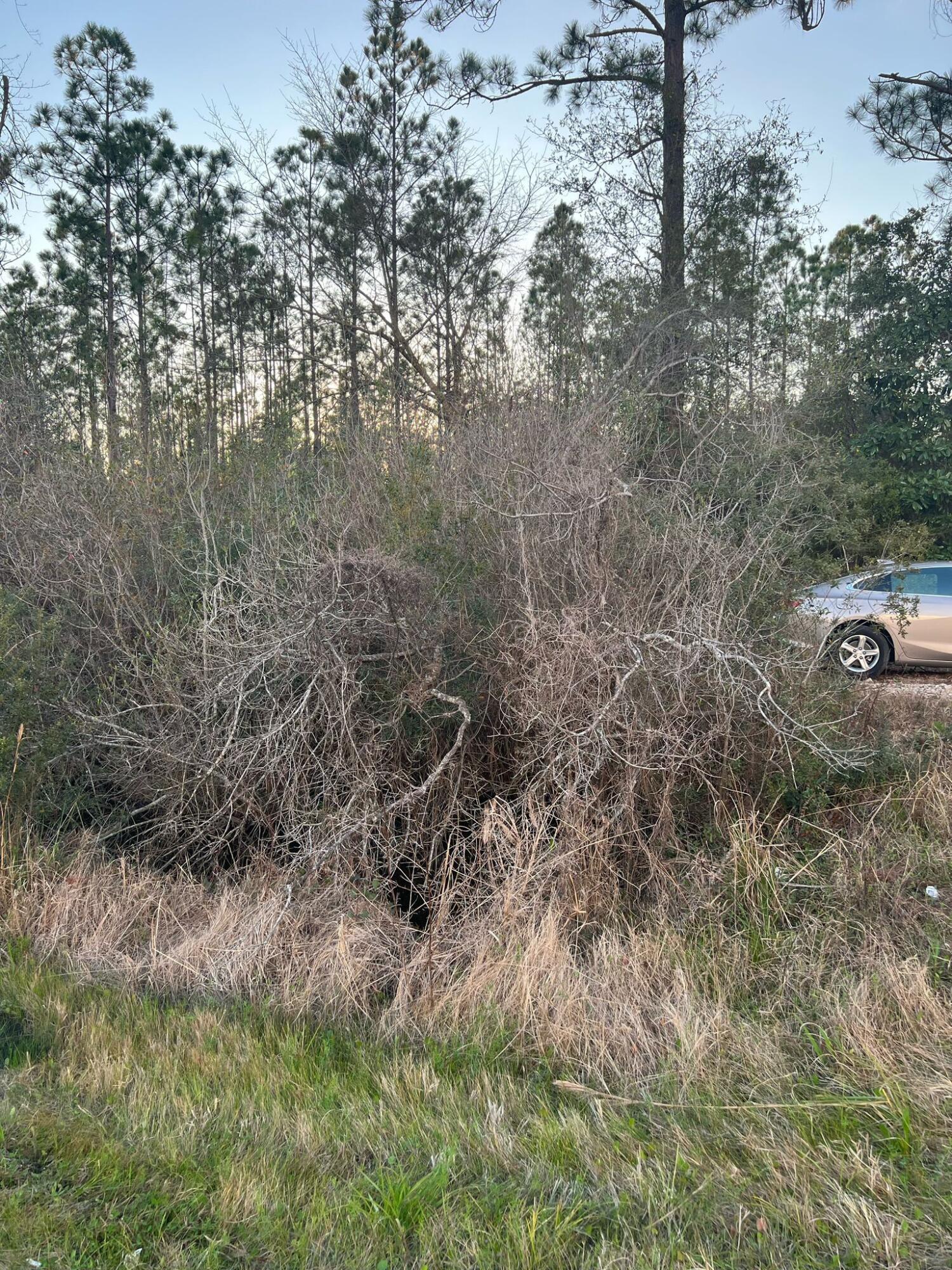 No assocuiation 
no restrictions 
come and build your dream house in this large lot
and bring all your animals too
1.37 acres 
great location.
it won't last long.
drive by it and submit your offer today!
