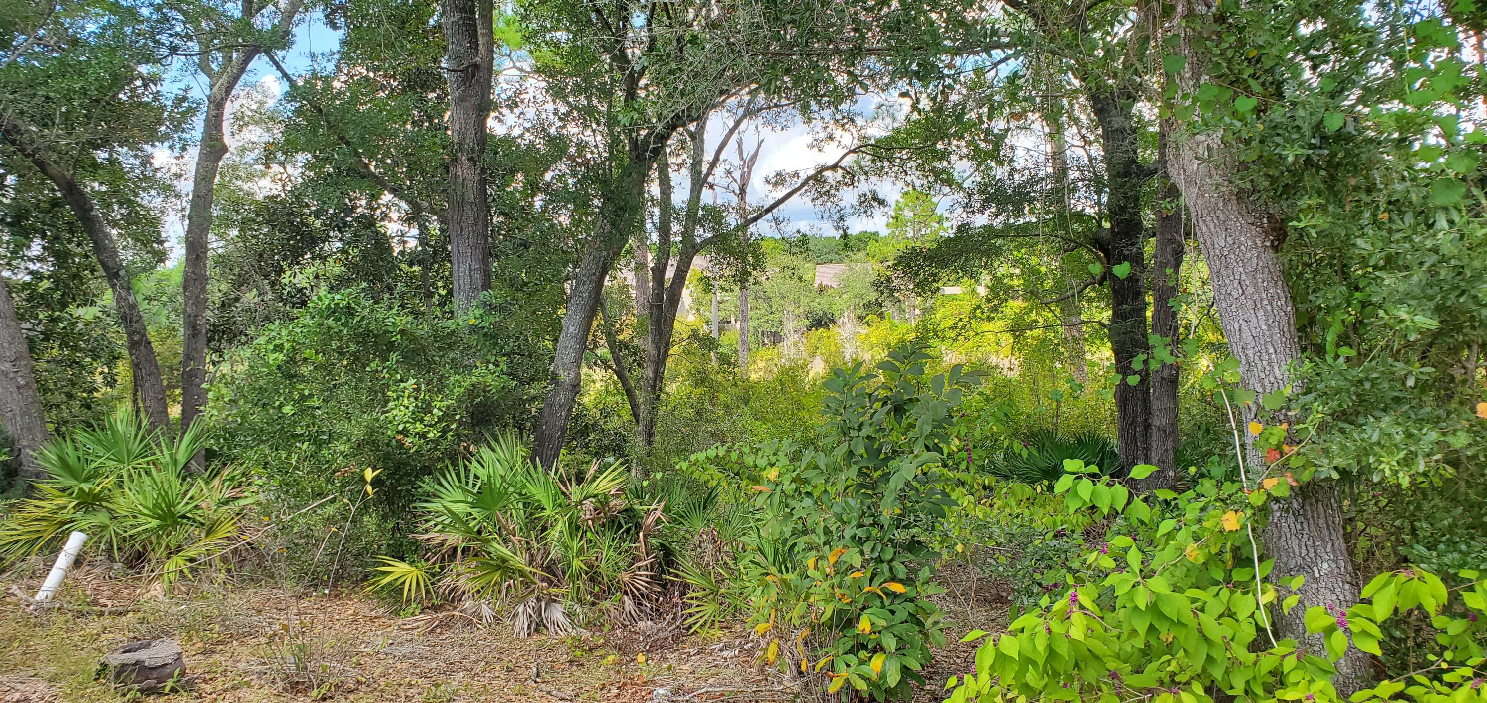 CAMP CREEK COVE PH 1 - Land