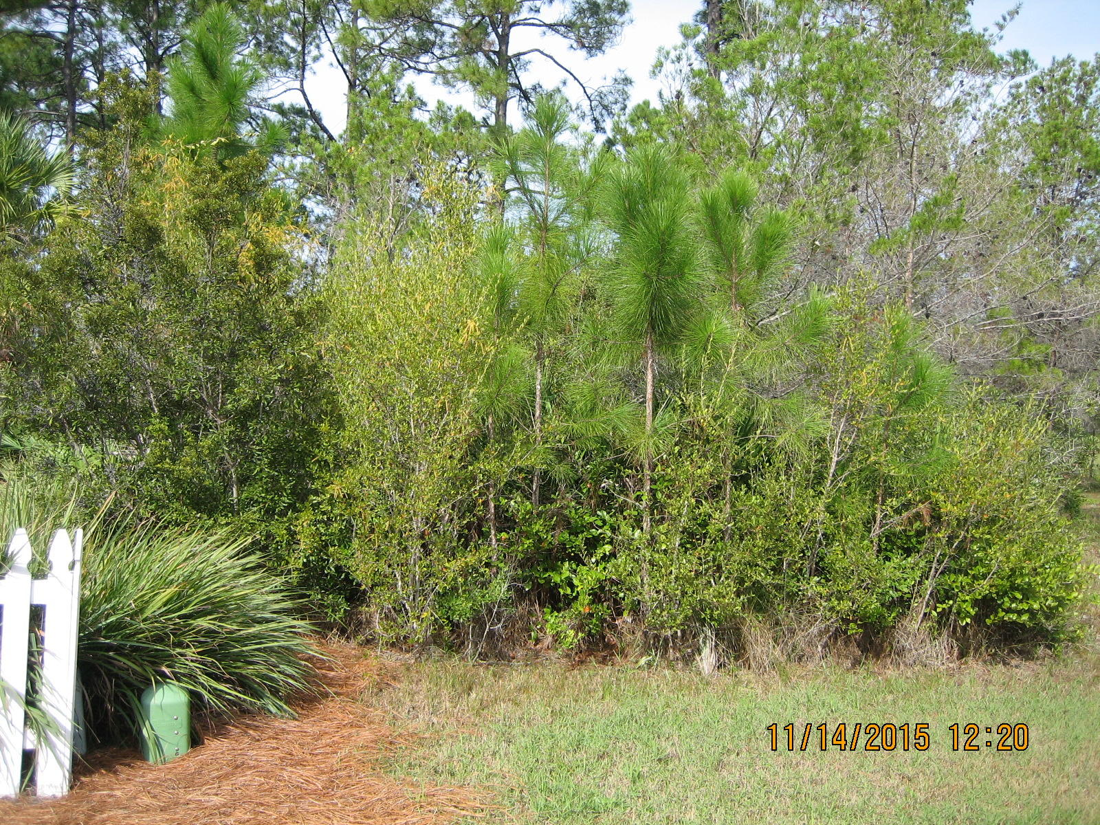 Great opportunity to own a large lot in beautiful
Cassine Village. The lot is on a quite Cul-de- sac,
is level, and has water and sewer taps paid. Take
your time to build and pay no HOA fees until home is completed. Beach access is right across 30A. Cassine Village is in the heart of Seagrove and is walking distance to many shops and restaurants.
The community has 2 pools, tennis, nature trails and a pond.