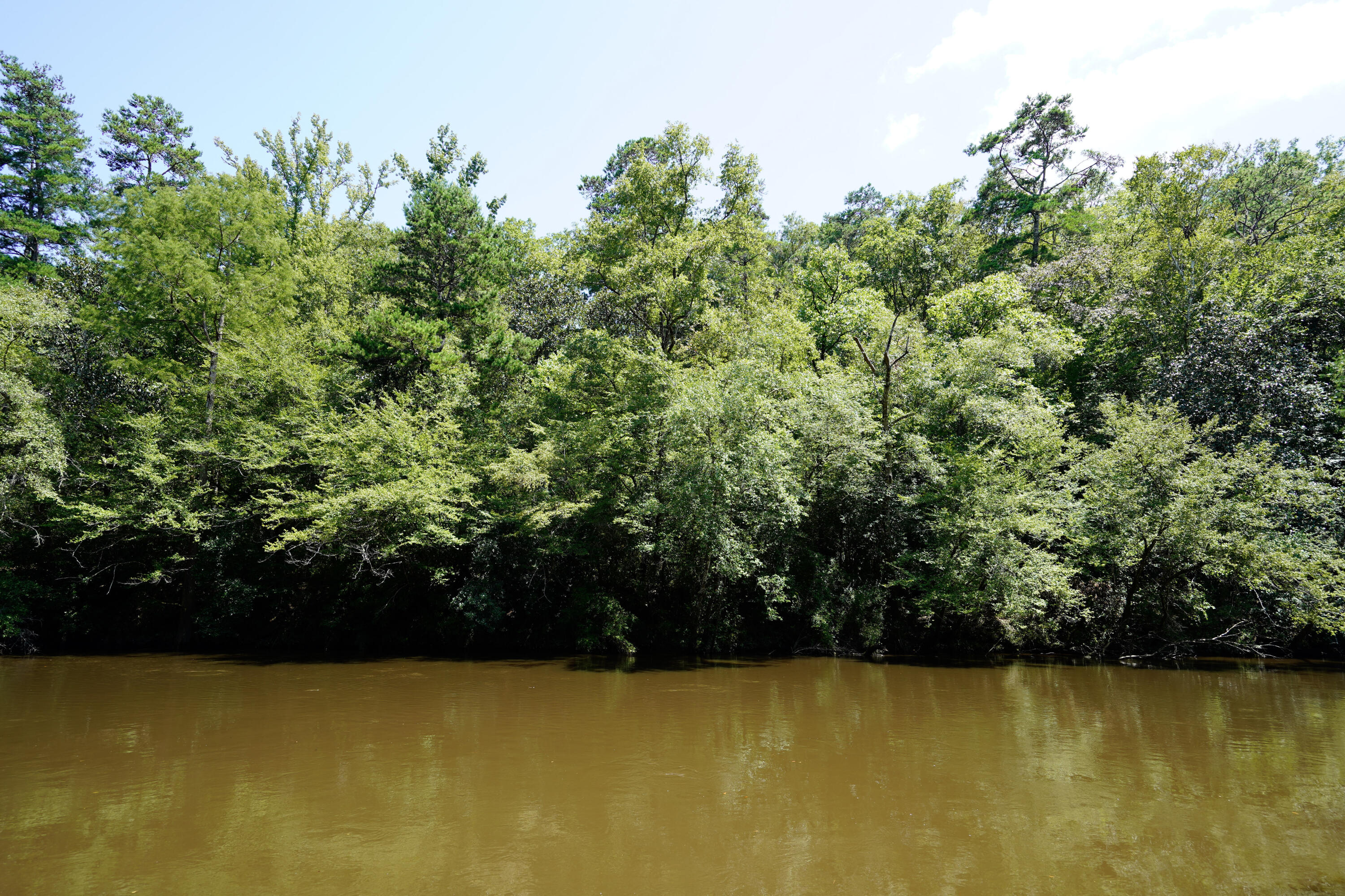 Crestview Northeast - Land