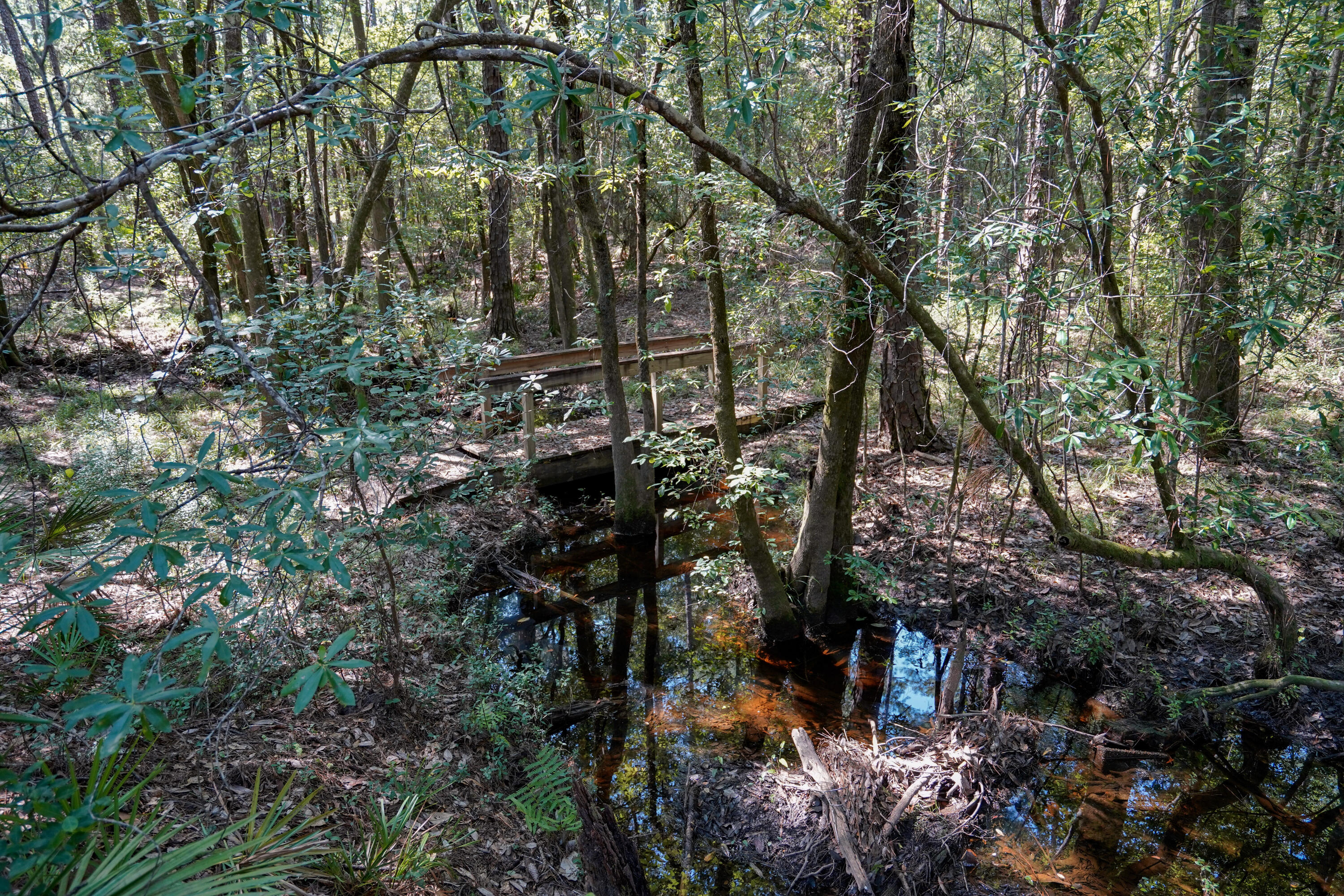 Crestview Northeast - Land