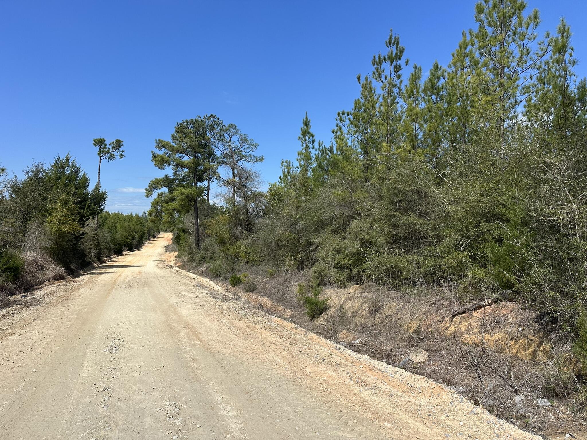 This parcel in Carryville offers a versatile tract of land with room to create your own vision. The property features natural Florida landscape and space that can be shaped for a future homesite, recreation, or long-term investment. The setting provides both privacy and potential, making it a strong option for those seeking acreage in Washington County.

Buyer to verify all information important to their intended use.