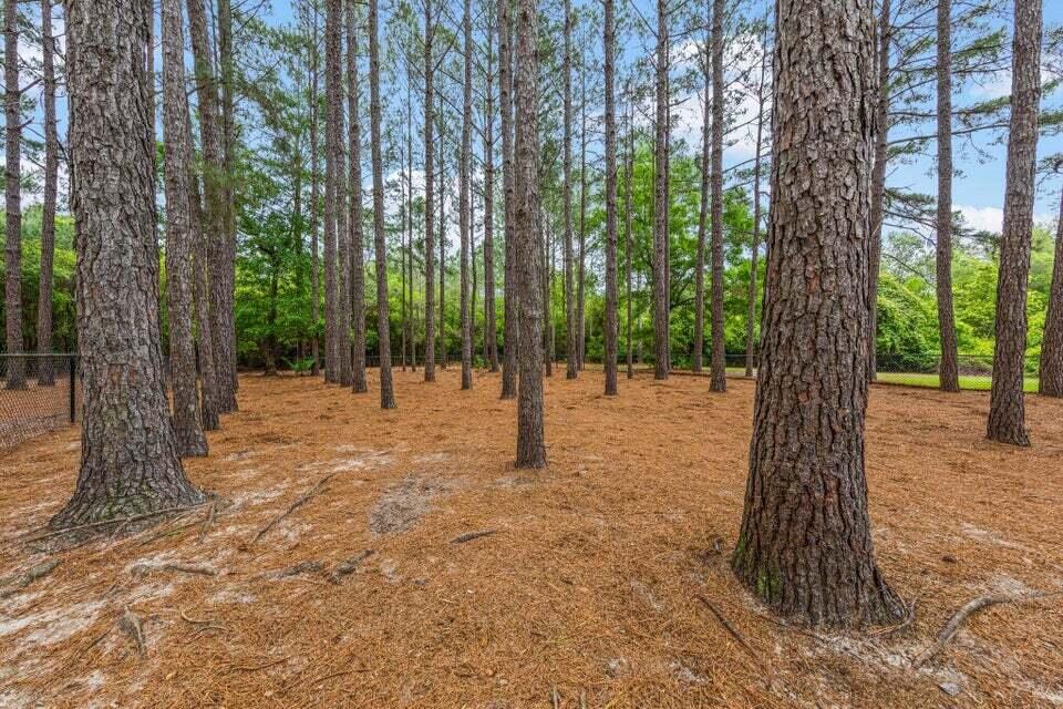 HAMMOCK BAY - FIREFLY - Residential Lease