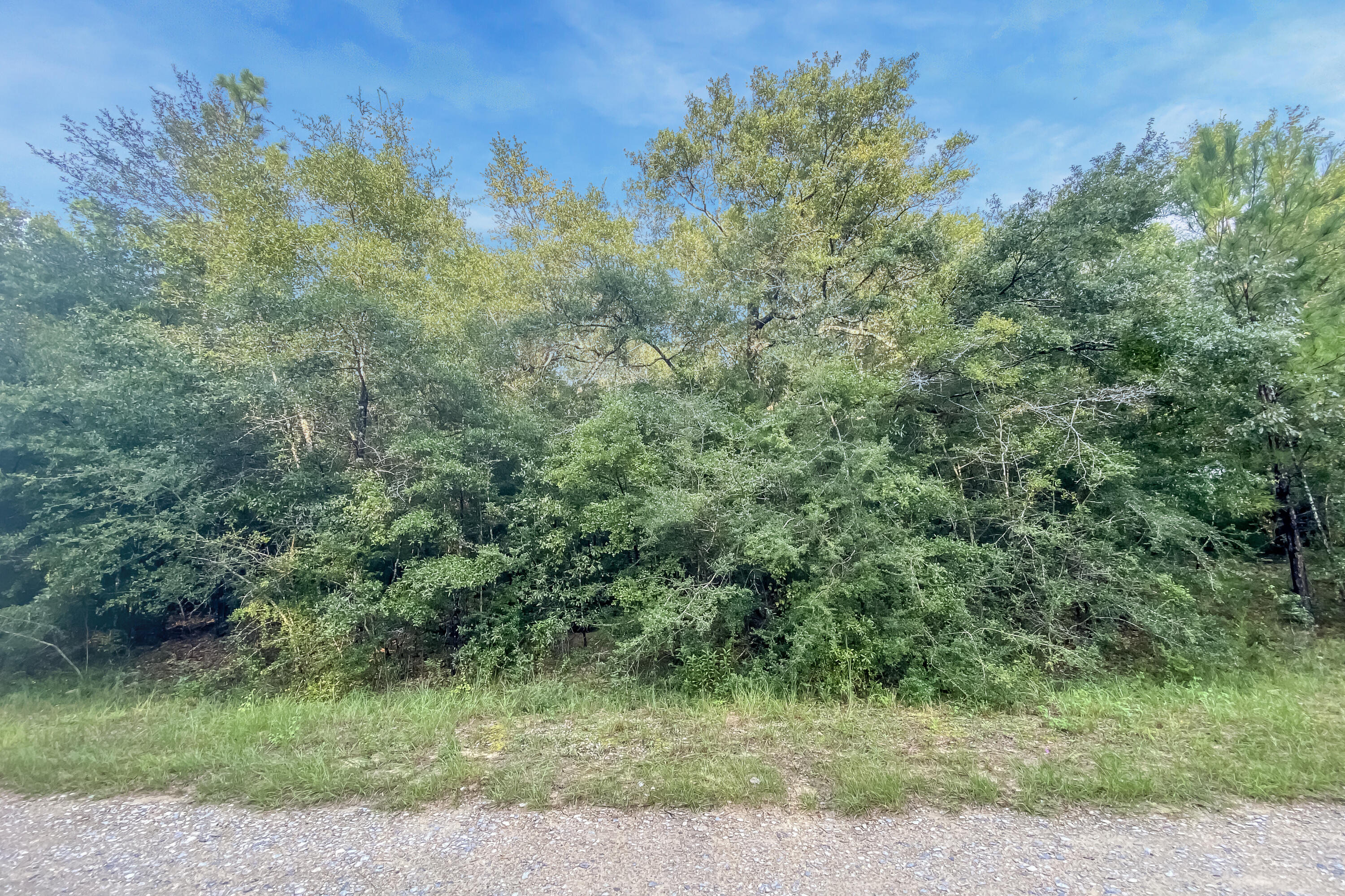 RIVERCHASE RETREAT - Land