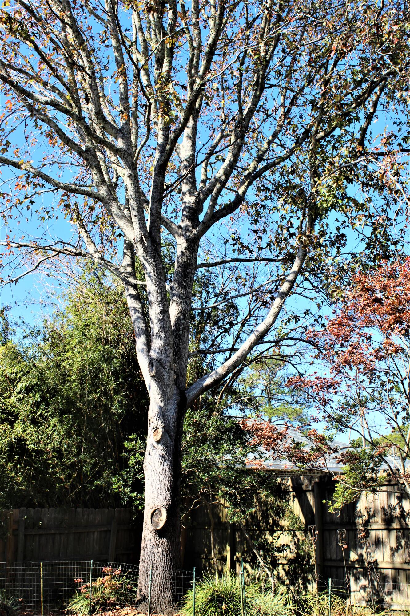 QUAIL RUN - Residential