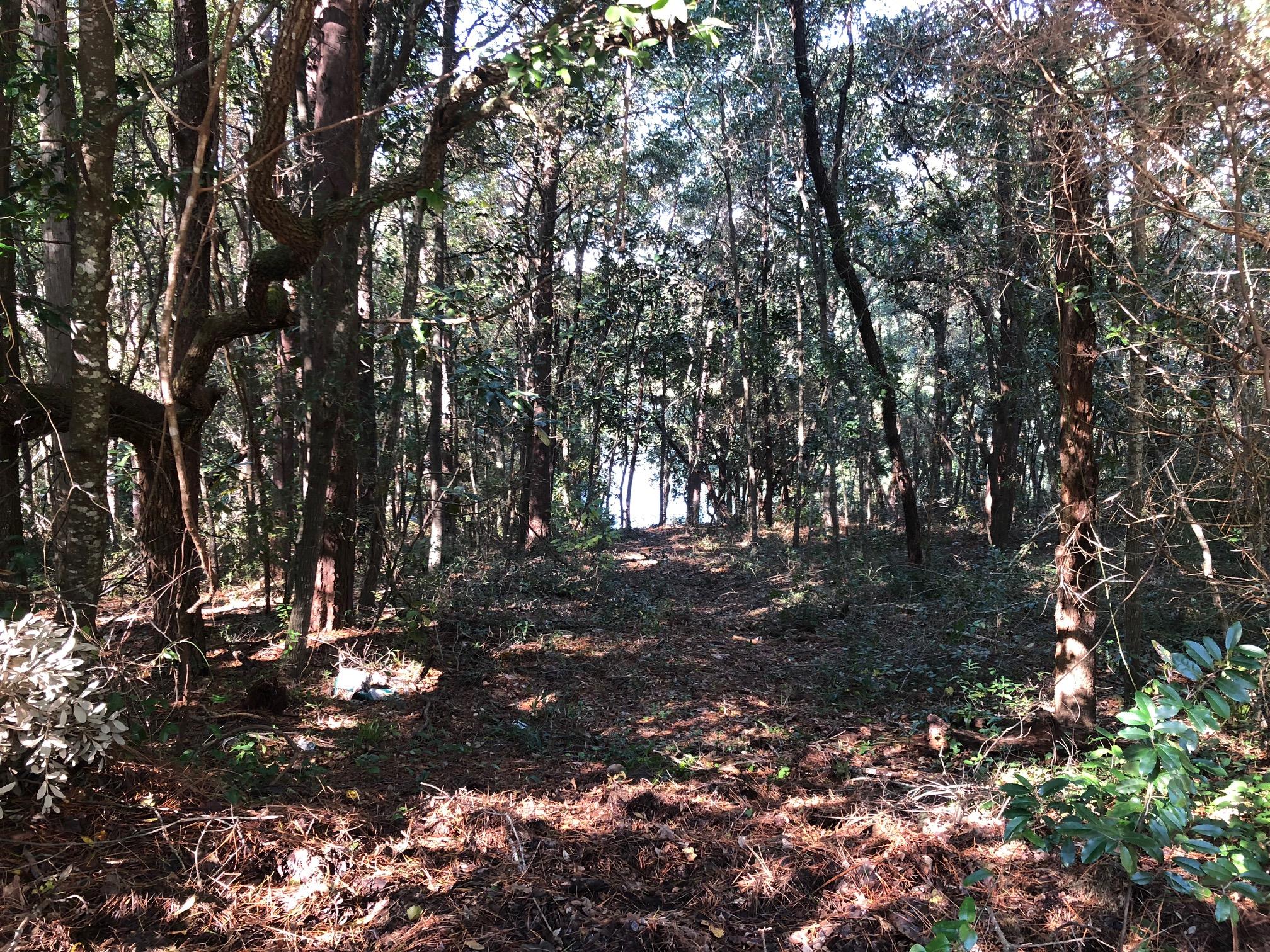 Rocky Bayou CC Estates #1  Lot 50 Block A - Land