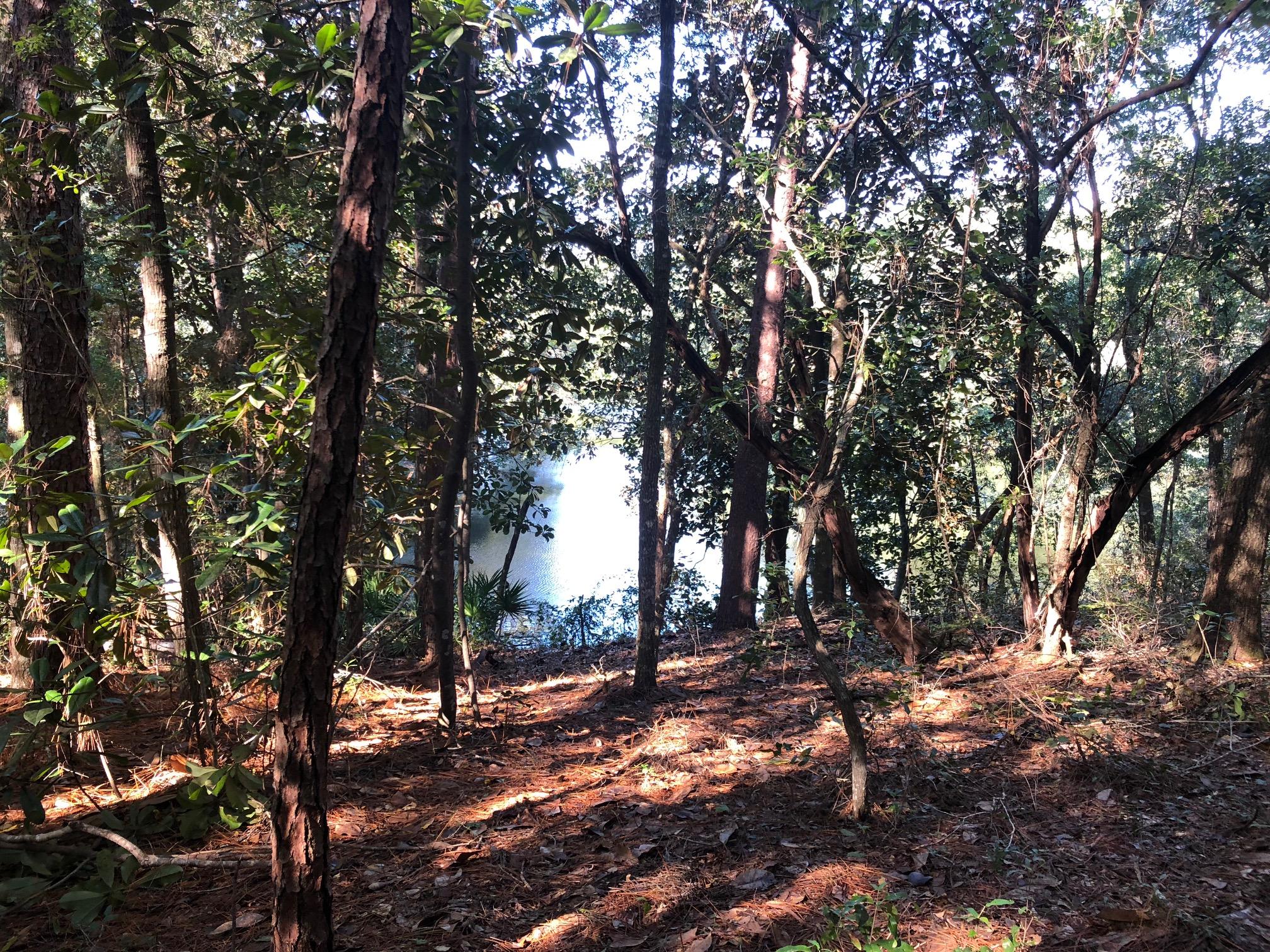 Rocky Bayou CC Estates #1  Lot 50 Block A - Land