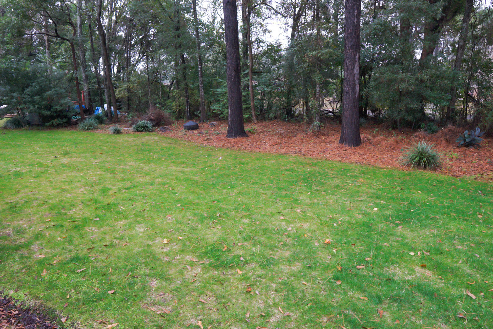 CLAIRE'S VINEYARD - Residential Lease