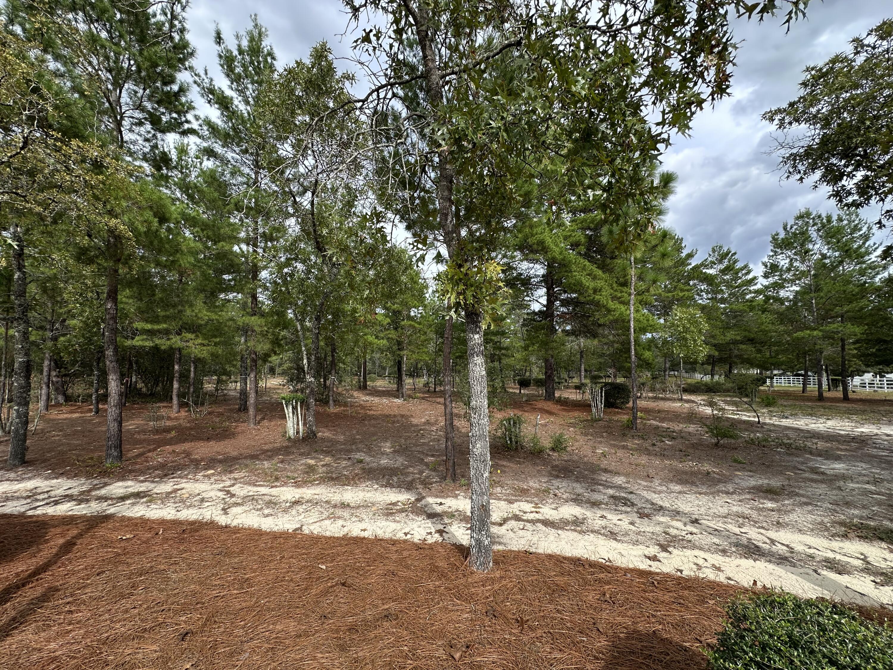 ONE OF A KIND 5.31-acre property in DeFuniak Springs with a well on site and the option to connect to city water. Landscaping is already completed, and most of the land has been cleared. No home restrictions—allowing up to two horses. Water and electric are just offsite and ready for connection.

This gated parcel offers a peaceful, park-like setting with open green space, walking paths,and a fire pit area. A private winding trail connects different areas of the property, ideal for golf cart rides or evening walks. Well lit streets at night, and well maintained paved roads surround the lot. Conveniently located near beaches, fishing spots, and the interstate. No flood insurance required.