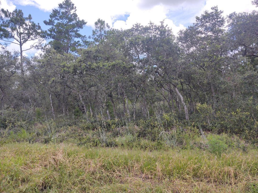FIVE ACRES in Growing Freeport!  Paved Road, City Water available, and close to Fire Station.   With all the growth in Freeport and new subdivisions, this tract gives you room to roam and more space from your neighbors!  Deed Restrictions in place to allow manufactured homes of 4 yrs of age or newer.  Seller has owned the property for many years & survey is from 1991.  No current survey of the property.  Located east of Hwy 331 South, with easy drive along Hwy 20 and Hwy 79 to the Northwest Florida Beaches International Airport and the west end of Panama City Beach.  To the west, Hwy 331 and Hwy 20 plus new developments anticipated along east Black Creek Road (Hwy 3280) making this a strategic location for the future and for travels through the Panhandle. Take a look and claim your Land!