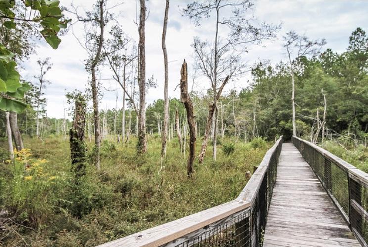HAMMOCK BAY - Residential Lease