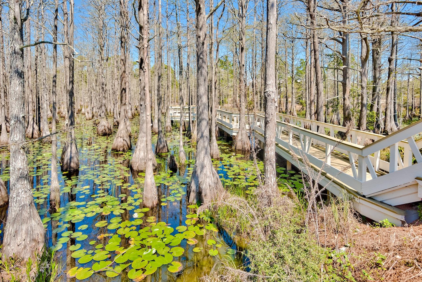 CYPRESS DUNES - Land
