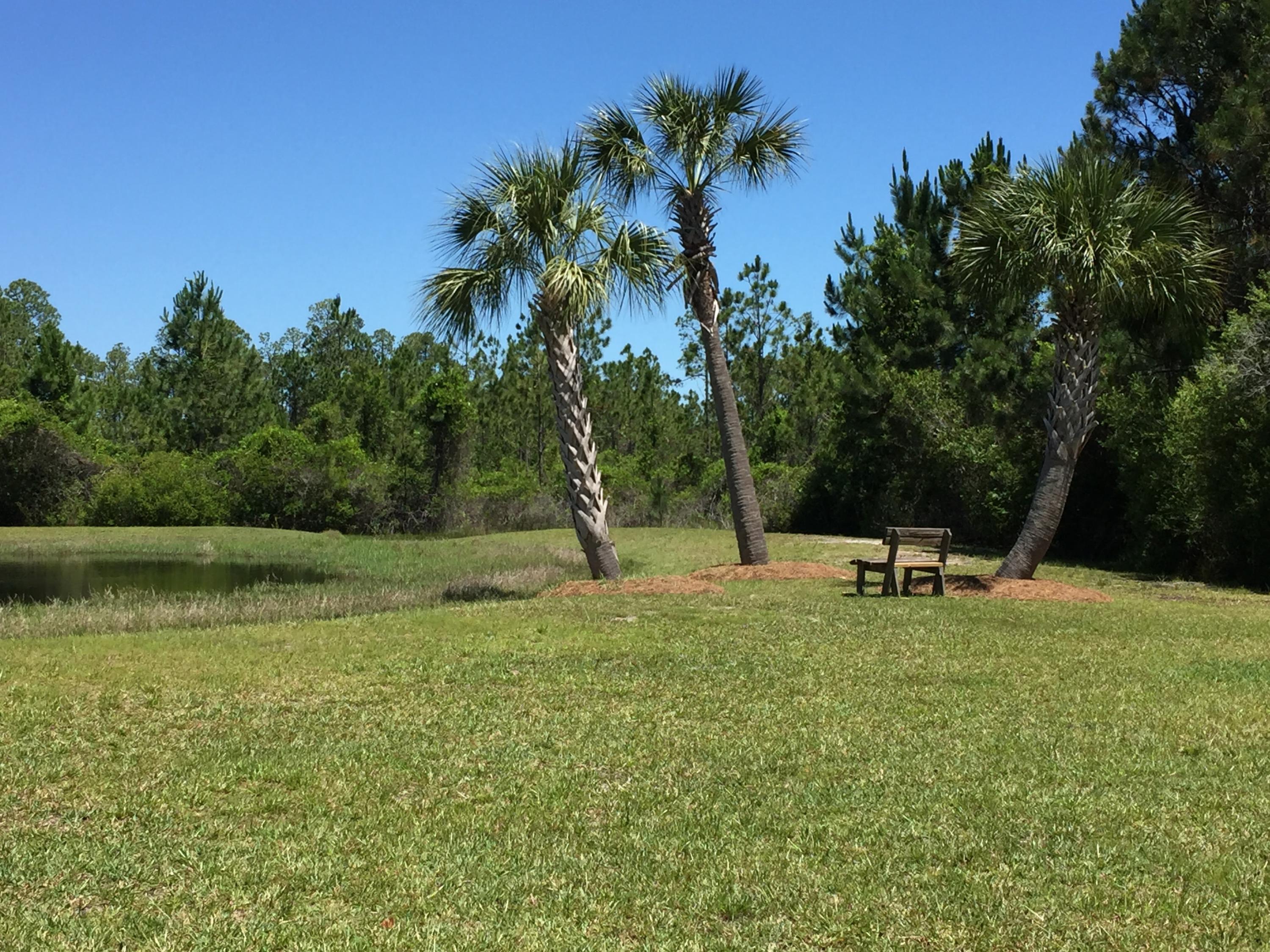 MOTIVATED SELLER! A LOT NEAR THE BAY, THIS SIZE WITH THESE AMENITIES IS HARD TO FIND! This beautiful, corner home-site located on Bay Harbour Blvd is high, dry and a short walking distance to the Choctawhatchee Bay! Partial tap fees have been paid. 1500 square feet minimum home size required to build. Custom homes are now under construction! Bay Harbour is Freeport's premier upscale lifestyle community. Amenities include tennis courts, locked boat & RV storage, community pier, boating, fishing, hiking and picnic pavilion. Walking / hiking paths throughout the neighborhood enable you and your family to enjoy nature at its best. Imagine life, leisure and bay living in this wonderful Bay Front neighborhood! The Hwy 331 expansion project and New Publix Market are a couple of reasons why Freeport, Florida is one of the fastest growing communities in Northwest FL!