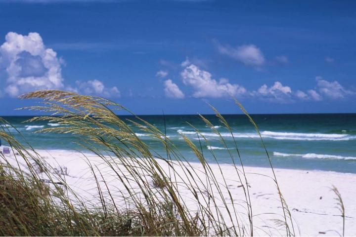 HOLLEY BY THE SEA, 1ST ADD - Land