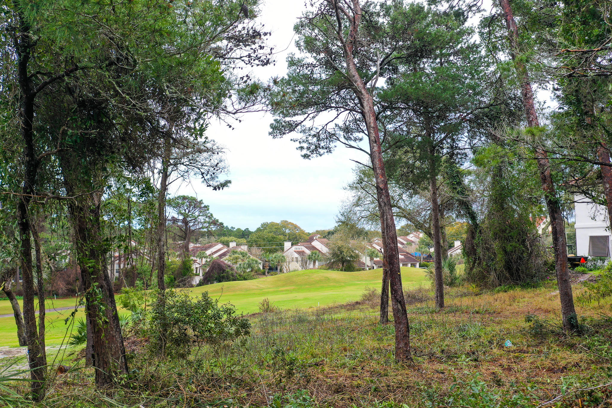 TIVOLI RIDGE - Land