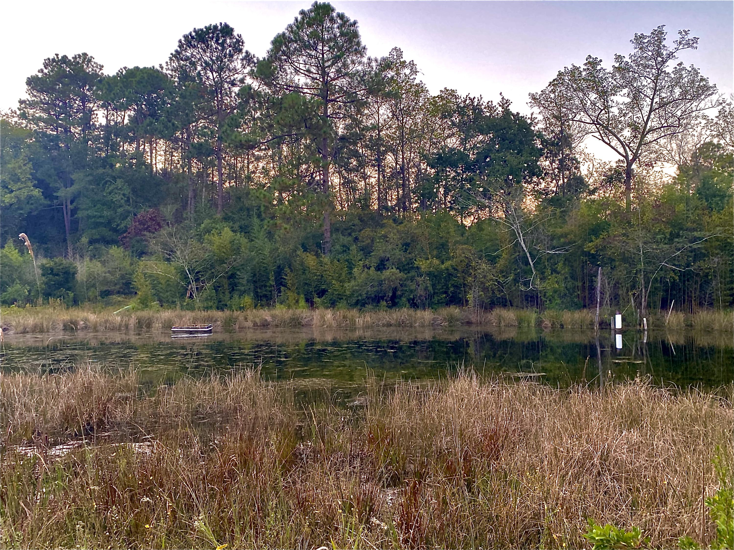 A beautiful 40 acres full of wild life and featuring a pond in the very North end of Walton county! Follow your private driveway back to the property where you are welcomed to an open and breath taking scenery that makes you never want to leave. The property featured an oversized shed and three additional outbuildings that convey AS-IS and includes all of the items in the storage areas. Start building your dream home or hunting camp on this secluded piece of land where a pump and well are already in place and electricity was set up prior to hurricane Sally-just an easy call to CHELCO to set back up!!
