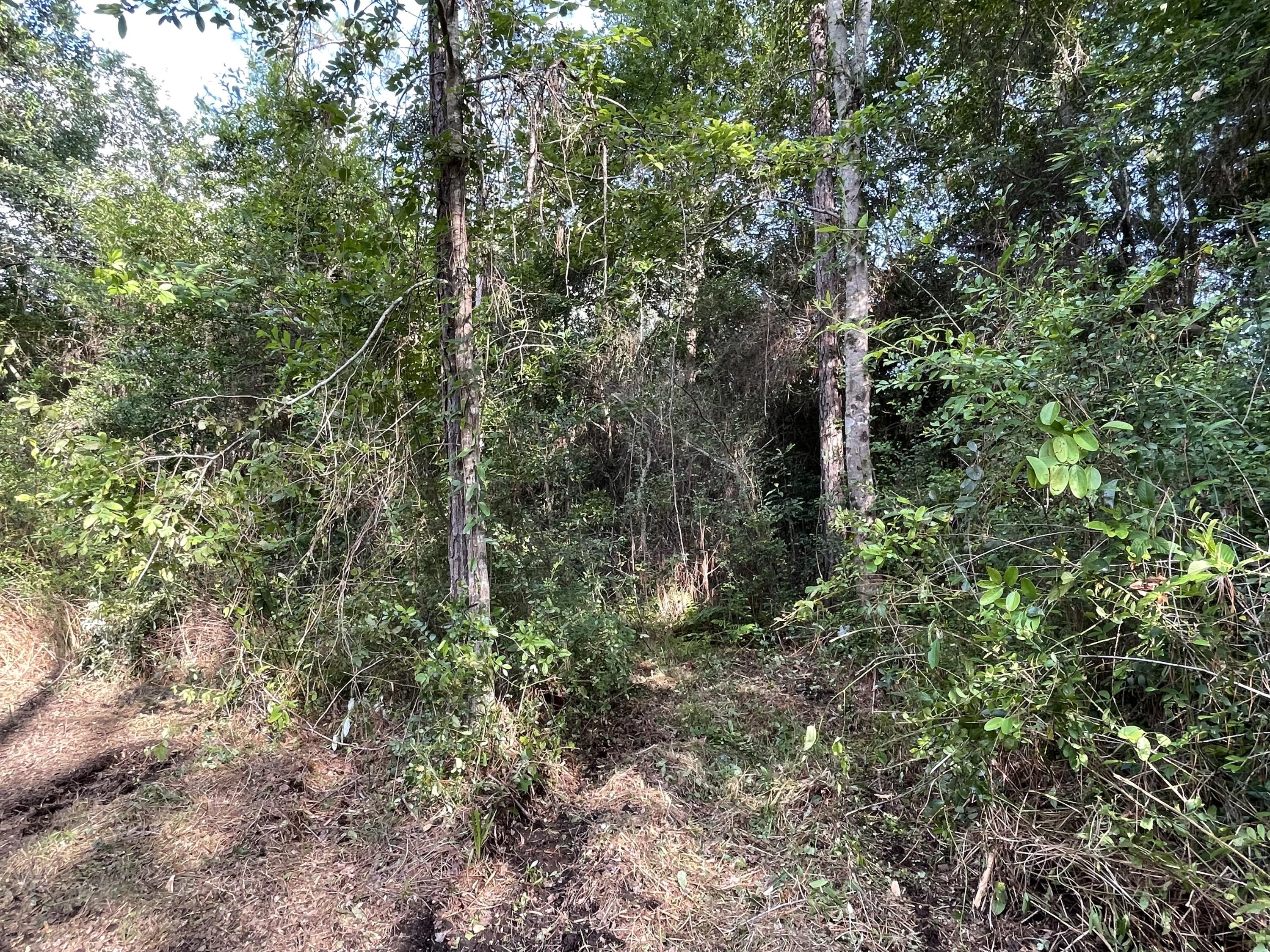 OAKWOOD LAKES ESTATES - Land