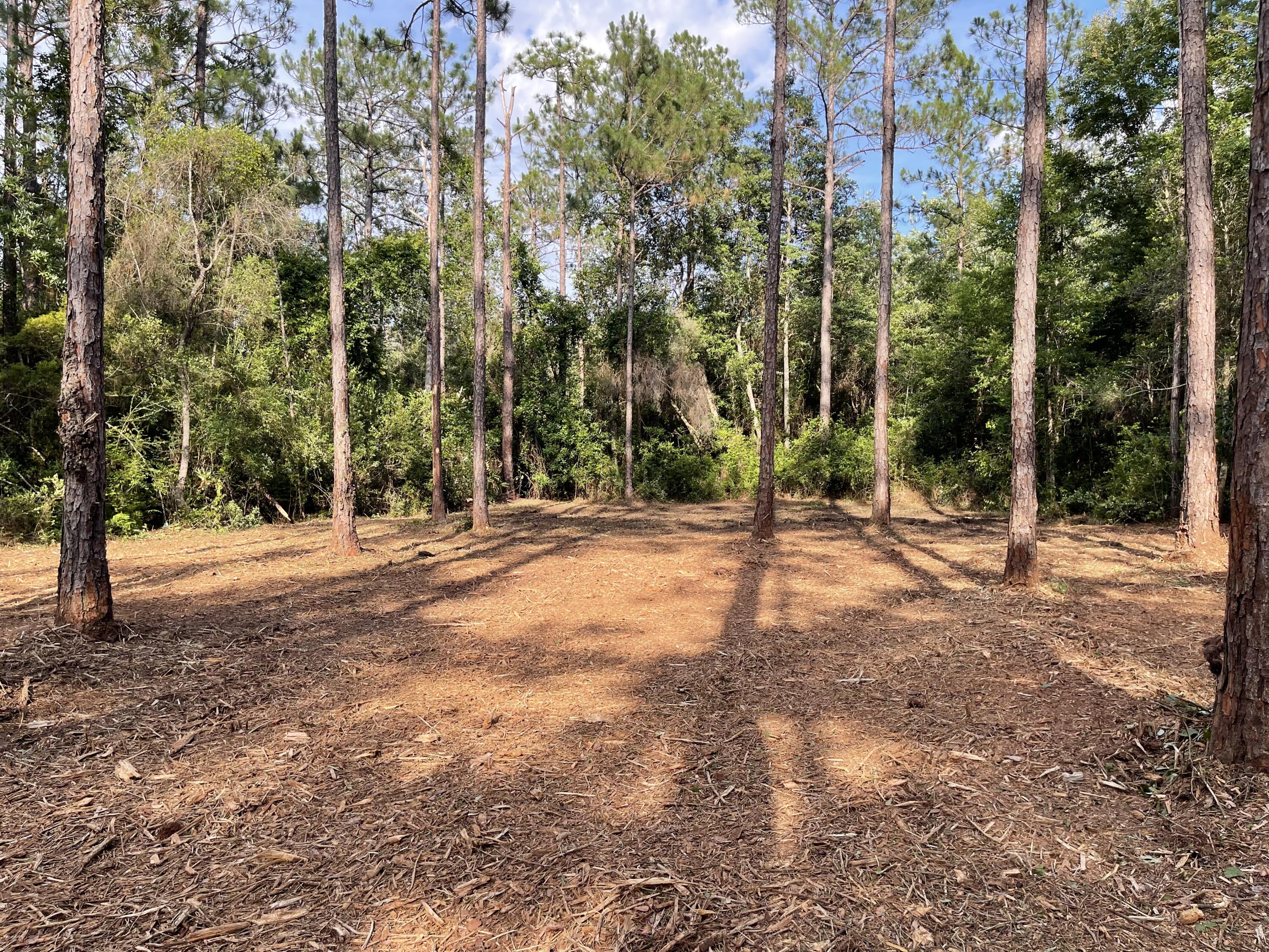 OAKWOOD LAKES ESTATES - Land
