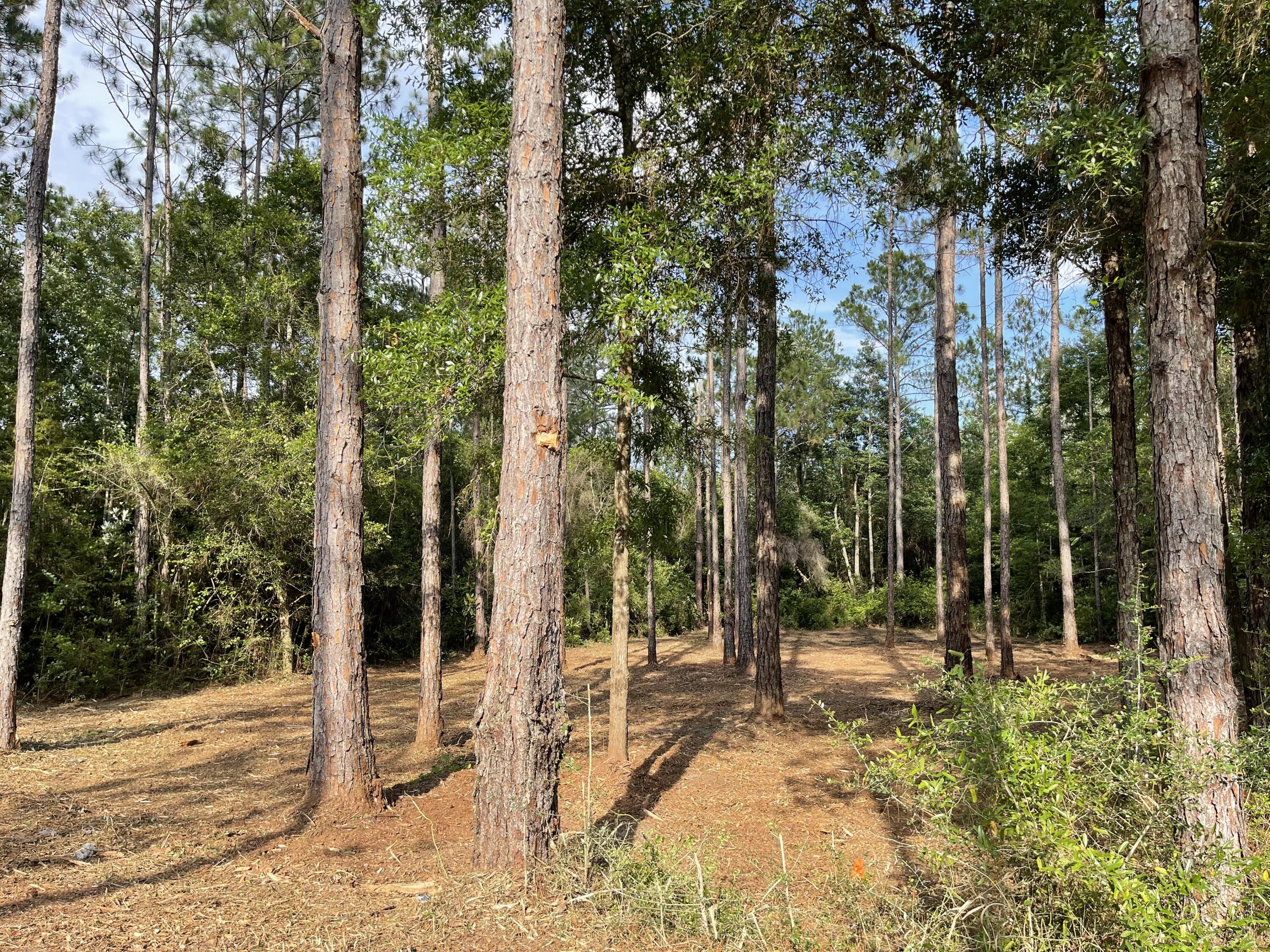 OAKWOOD LAKES ESTATES - Land
