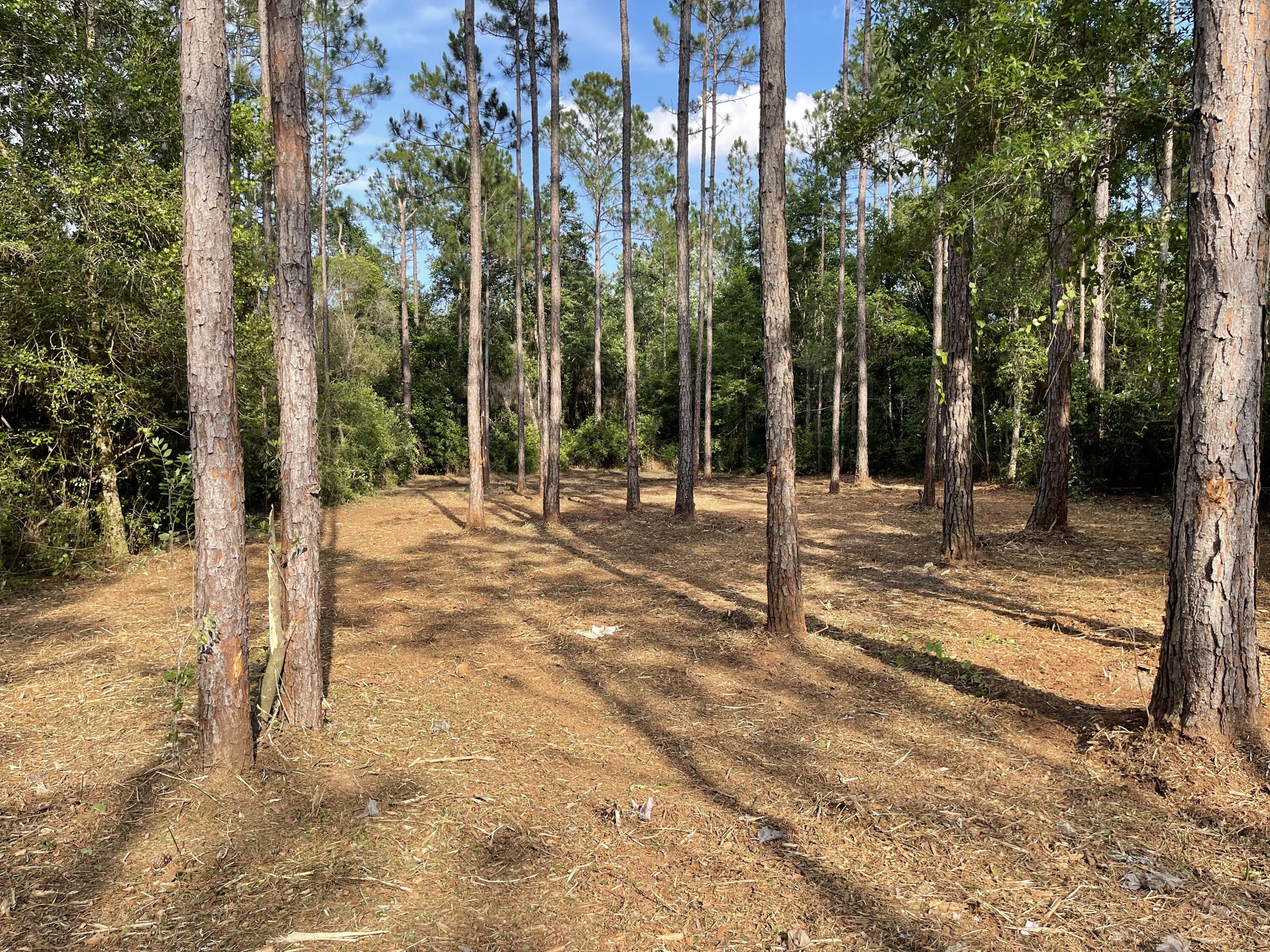 OAKWOOD LAKES ESTATES - Land