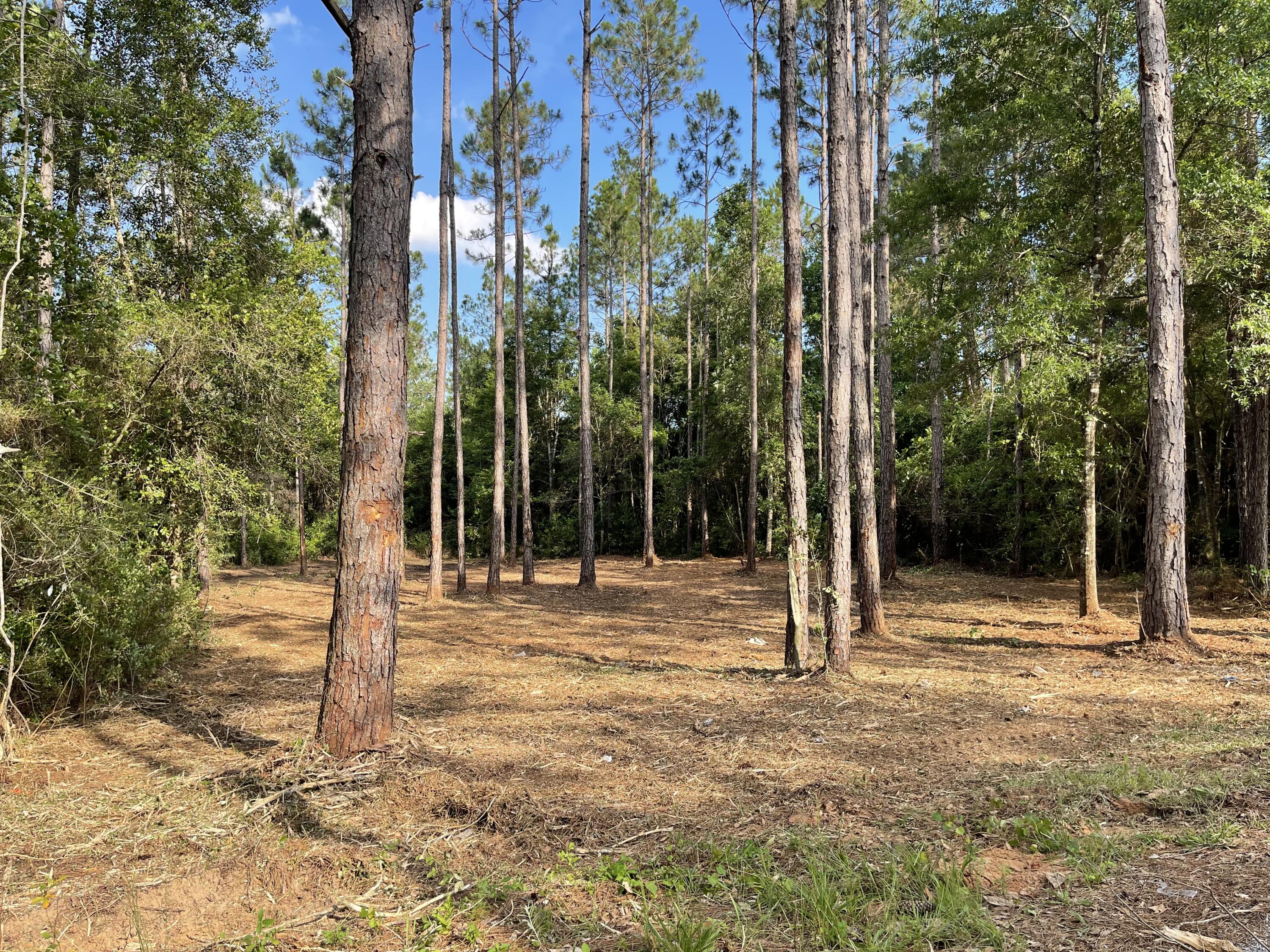 OAKWOOD LAKES ESTATES - Land
