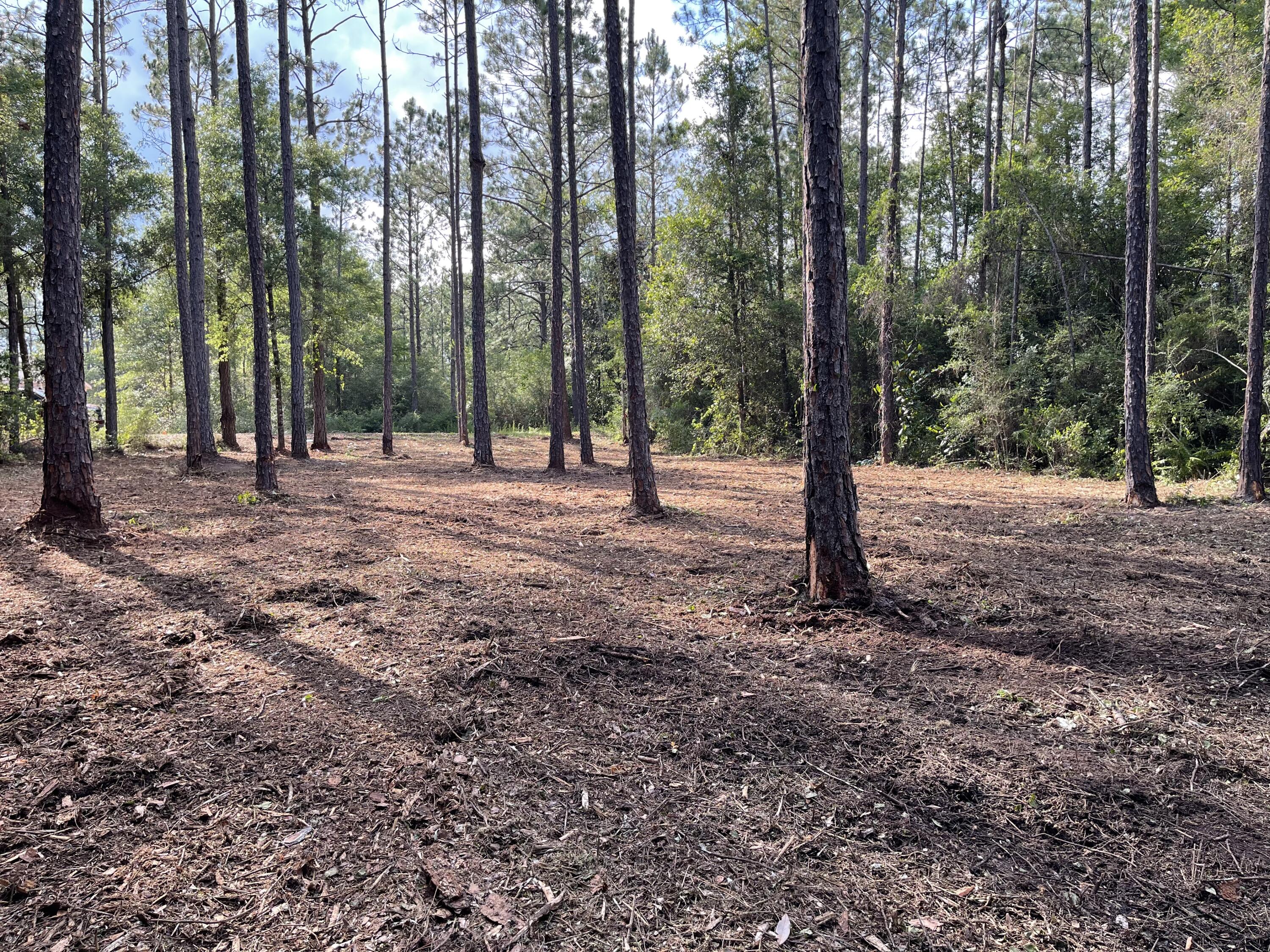 OAKWOOD LAKES ESTATES - Land
