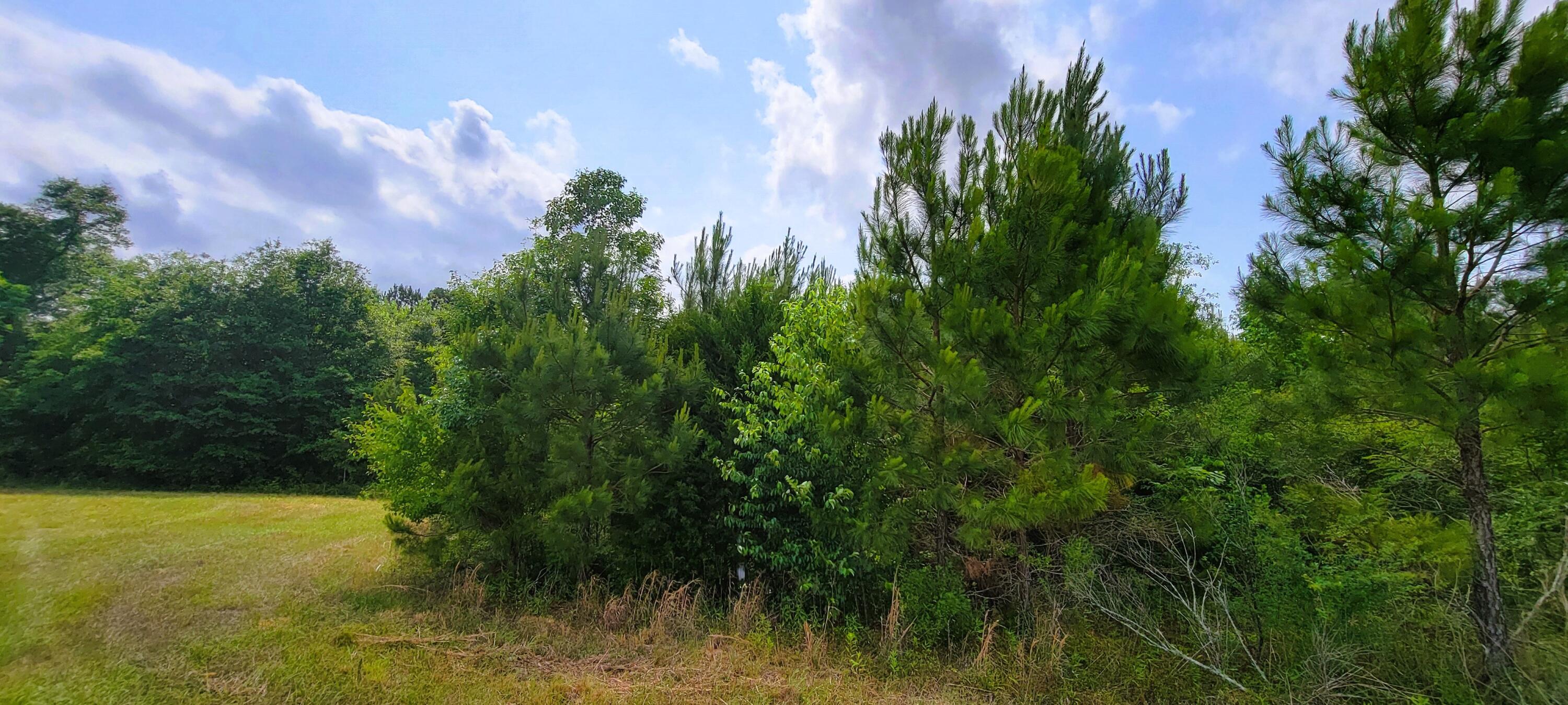 NO RECORDED SUBDIVISION - Land