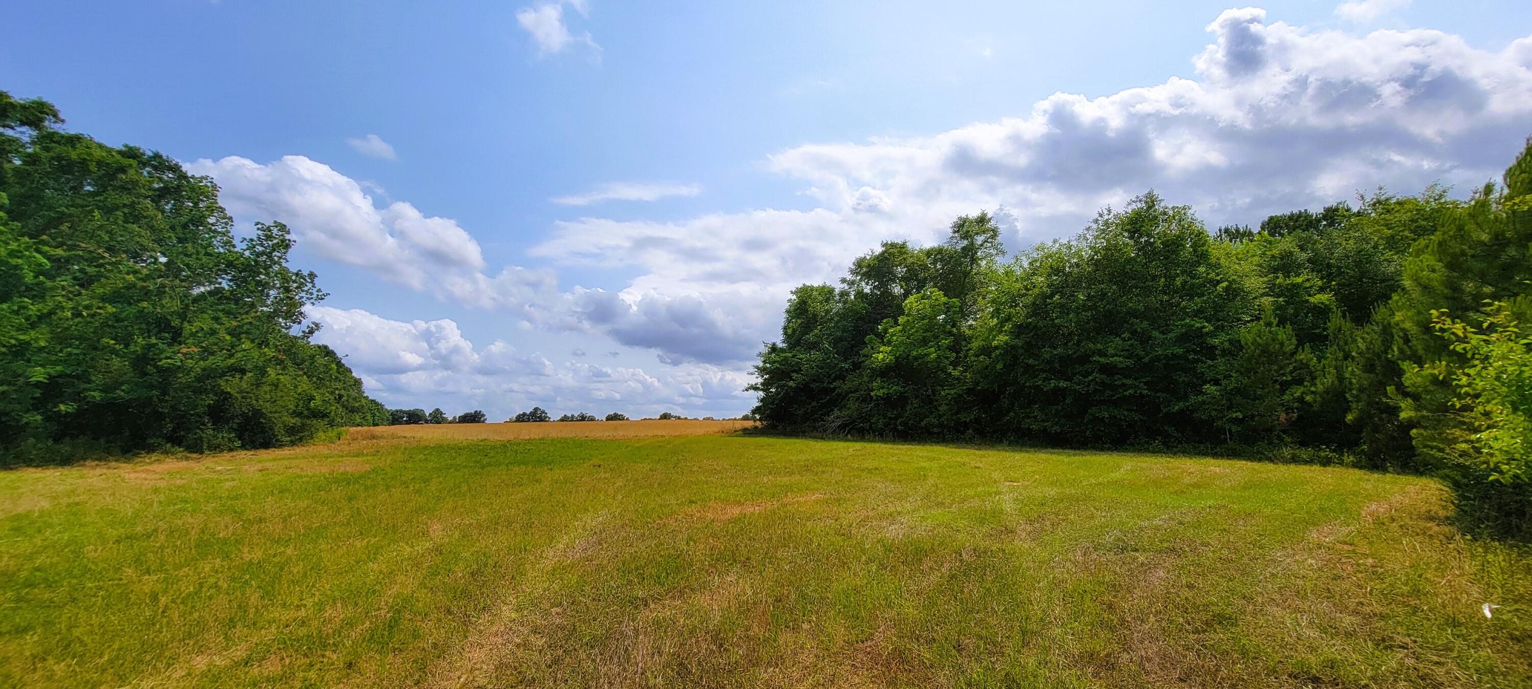 NO RECORDED SUBDIVISION - Land