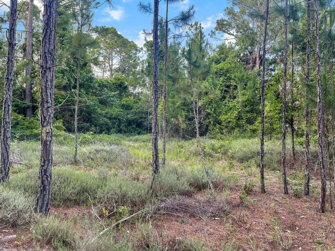MACK BAYOU ESTATES - Land