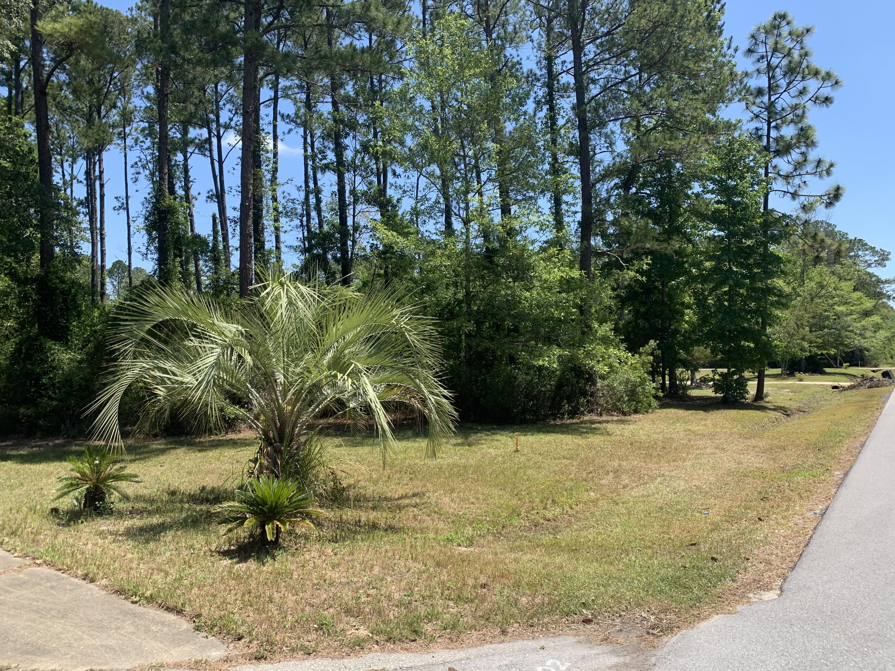 Location, Location, Location! Come check out this beautiful 1/2 acre corner lot off of Lagrange Rd, south of Hwy 20 just off of 331. Build your dream home and be close to all the action of the growing city of Freeport. NO active HOA and close to the Choctawhatchee Bay and boat ramp at Grady Brown Park. Be just a short drive to all the action of Santa Rosa Beach and 30a has to offer including shopping, entertainment, and dining. Not to mention just a short drive to Grayton, Destin, and Blue Mountain Beaches. City Water Tap has been paid. Call today before it is gone.