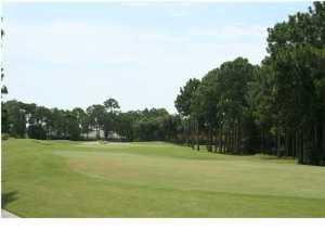ISLAND GREEN - Land