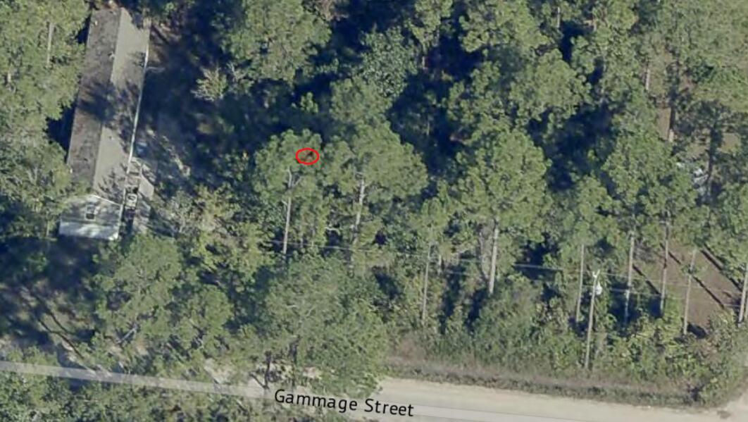 Town of Santa Rosa Beach - Land