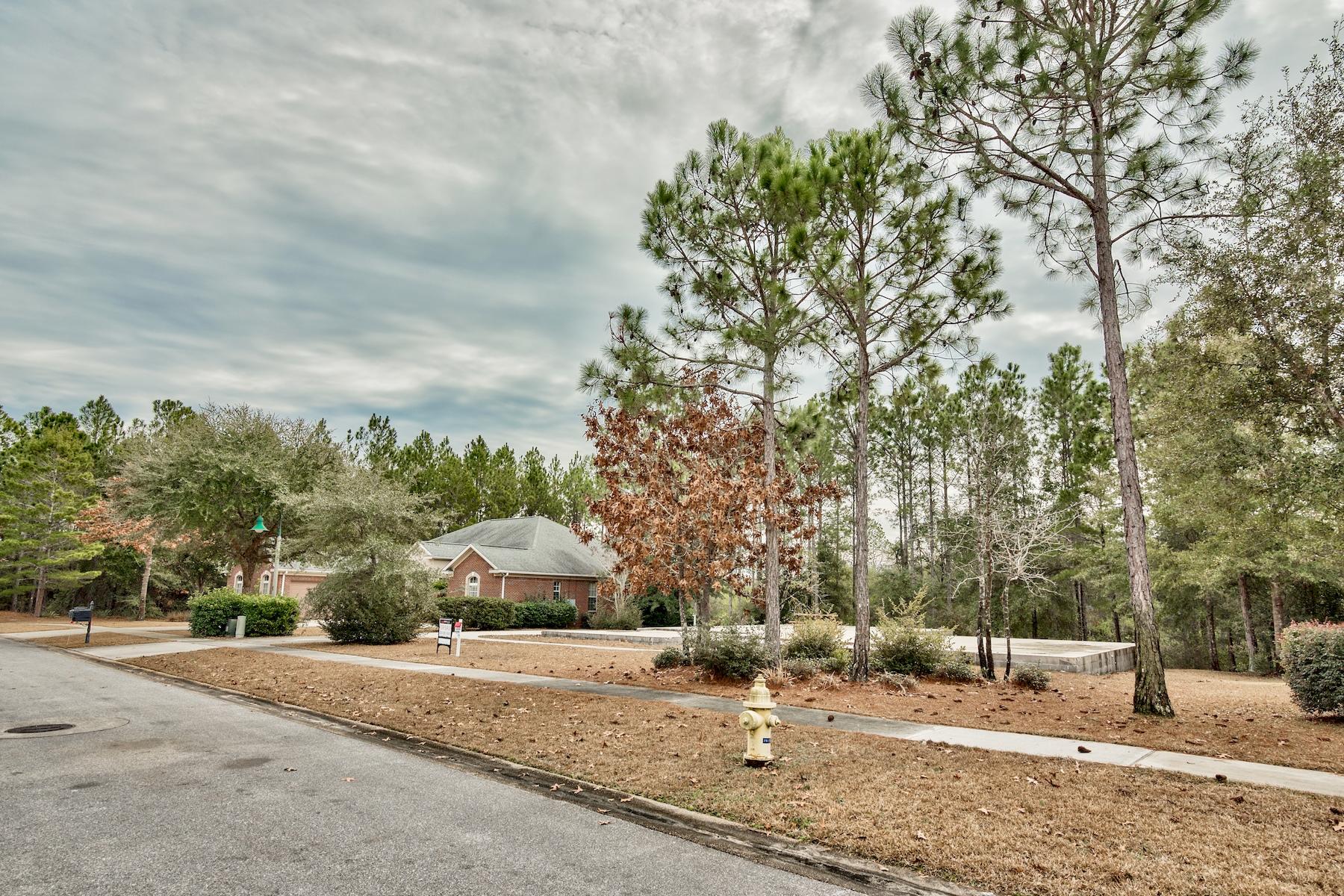 HAMMOCK BAY - Land