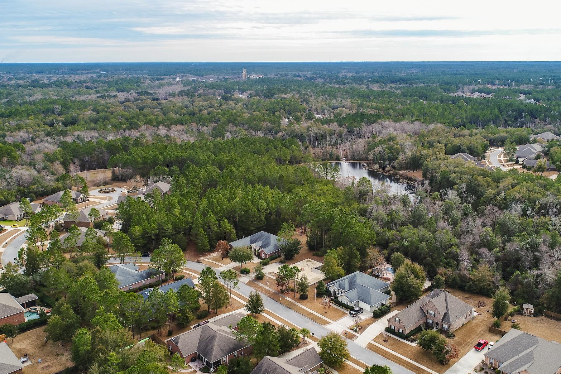 HAMMOCK BAY - Land