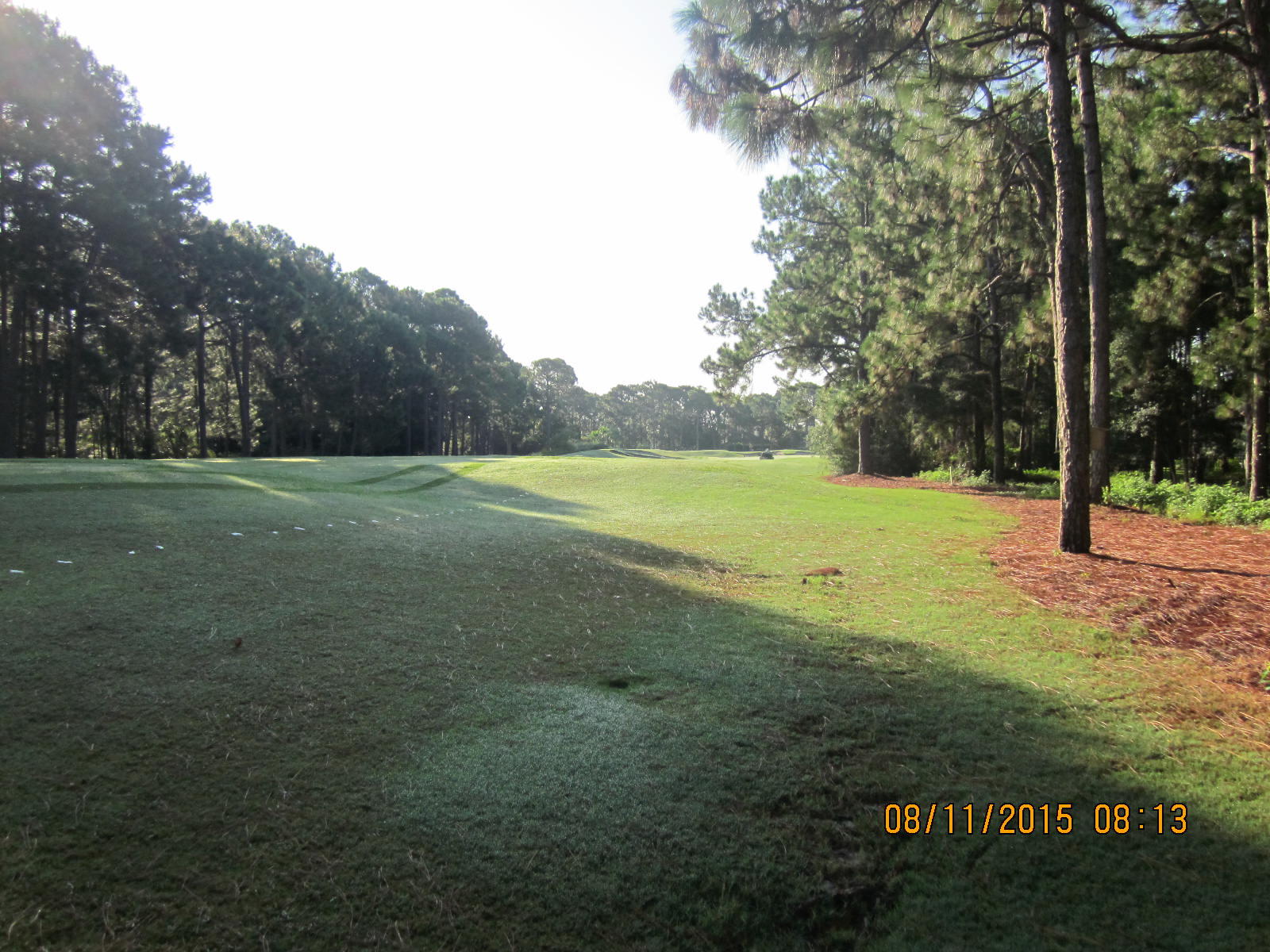 ISLAND GREEN - Land