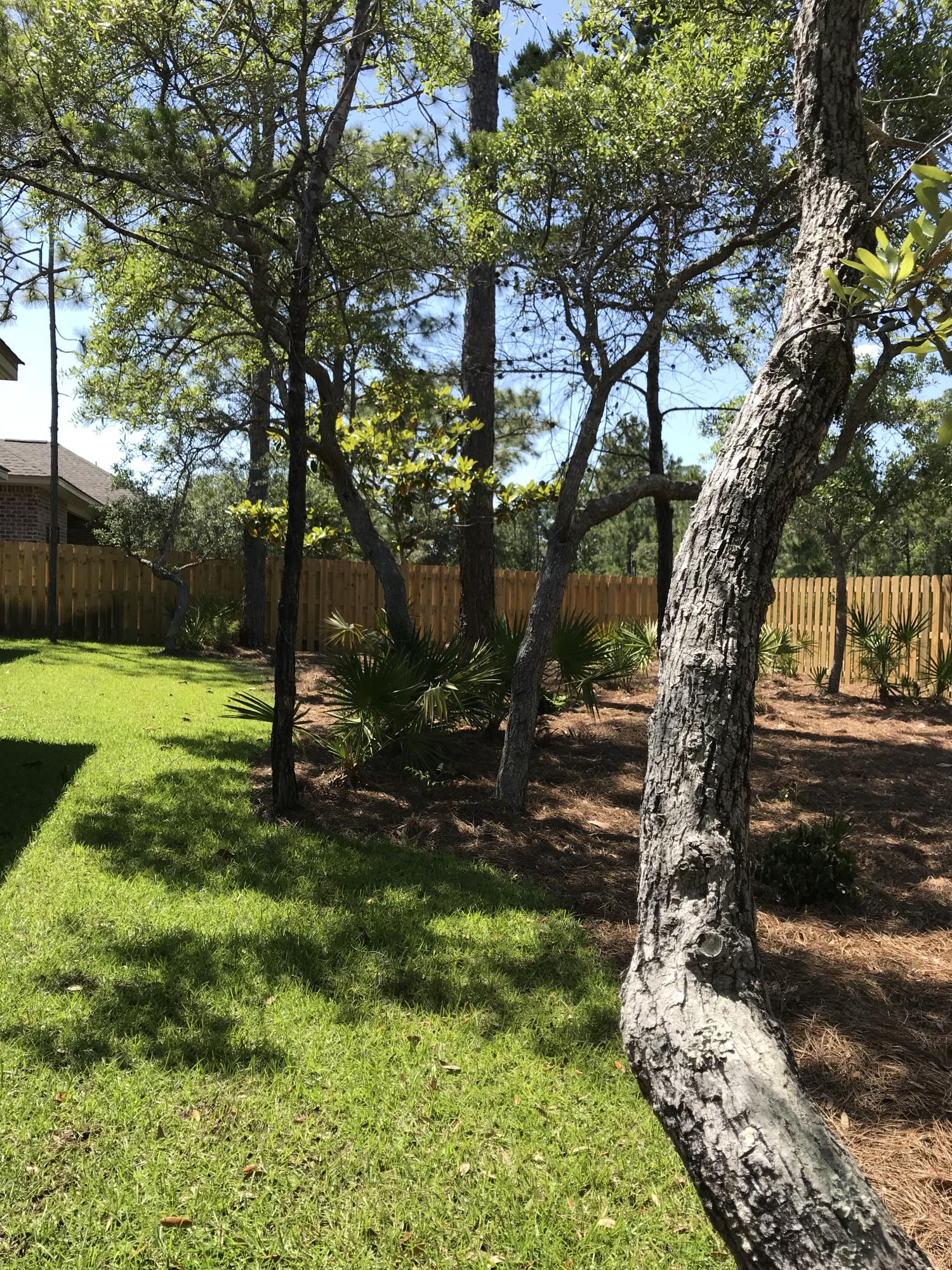 Forest Park - Residential